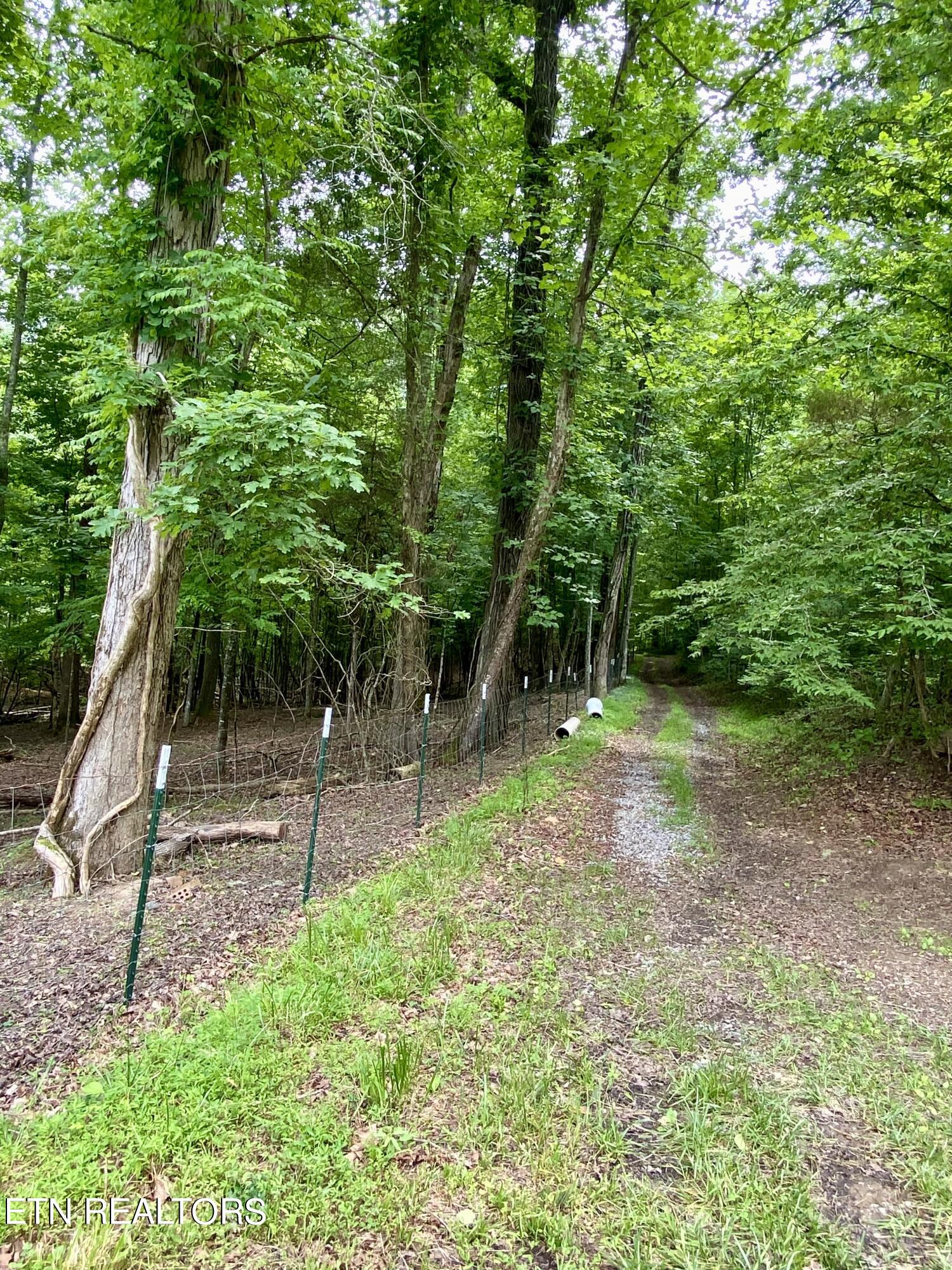 207 Blackburn Lane Lenoir City TN 37771