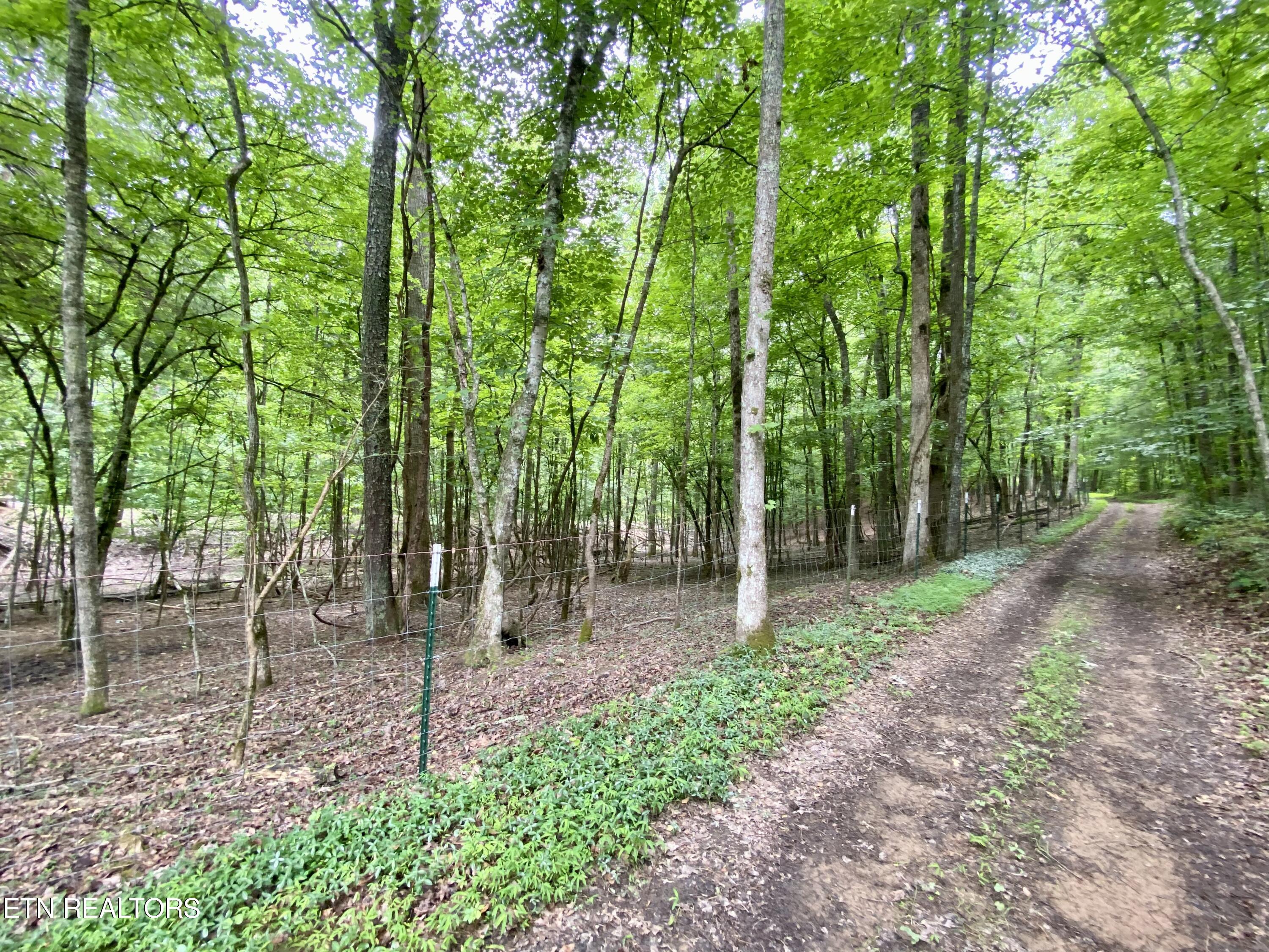 207 Blackburn Lane Lenoir City TN 37771