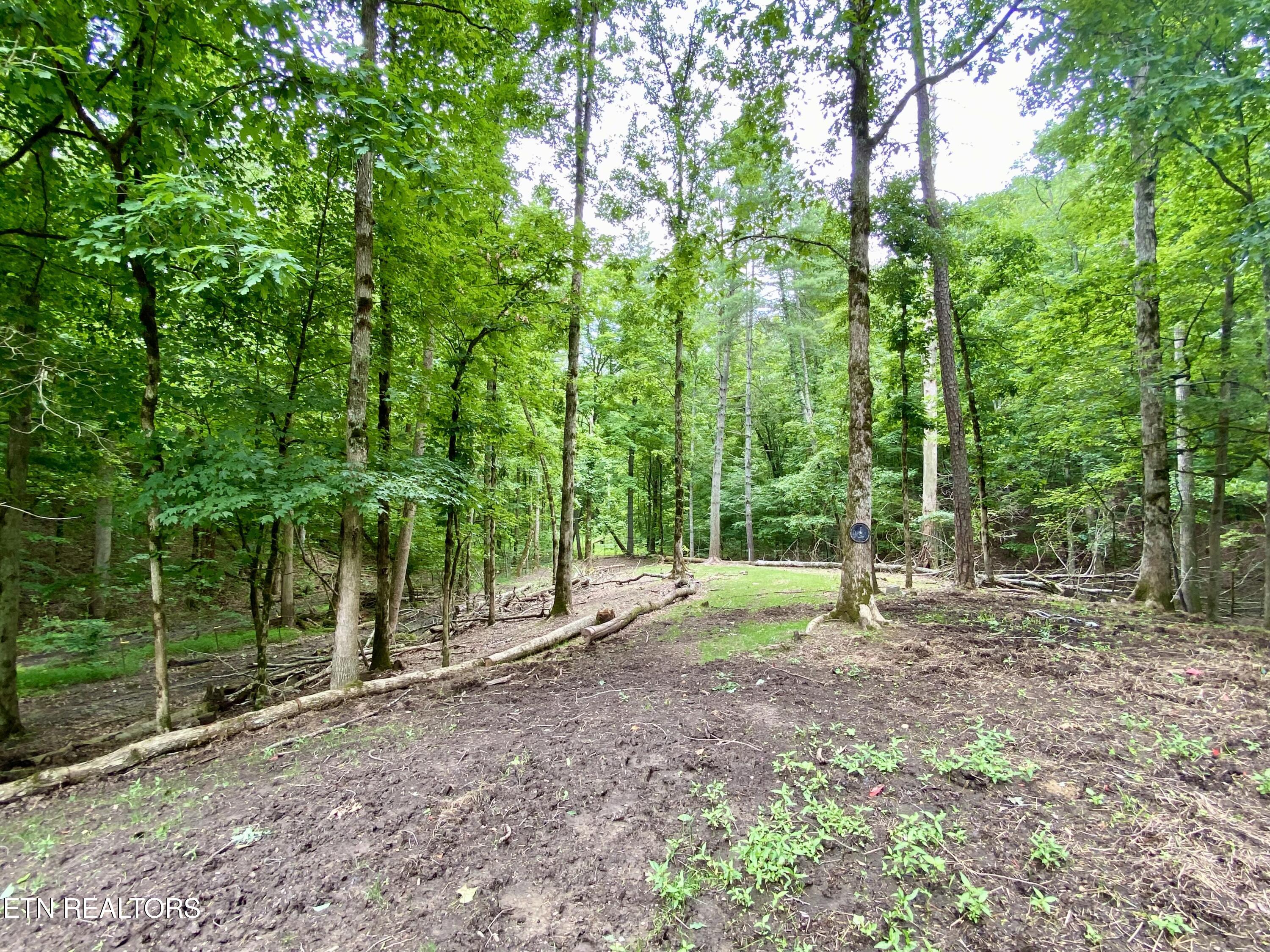 207 Blackburn Lane Lenoir City TN 37771