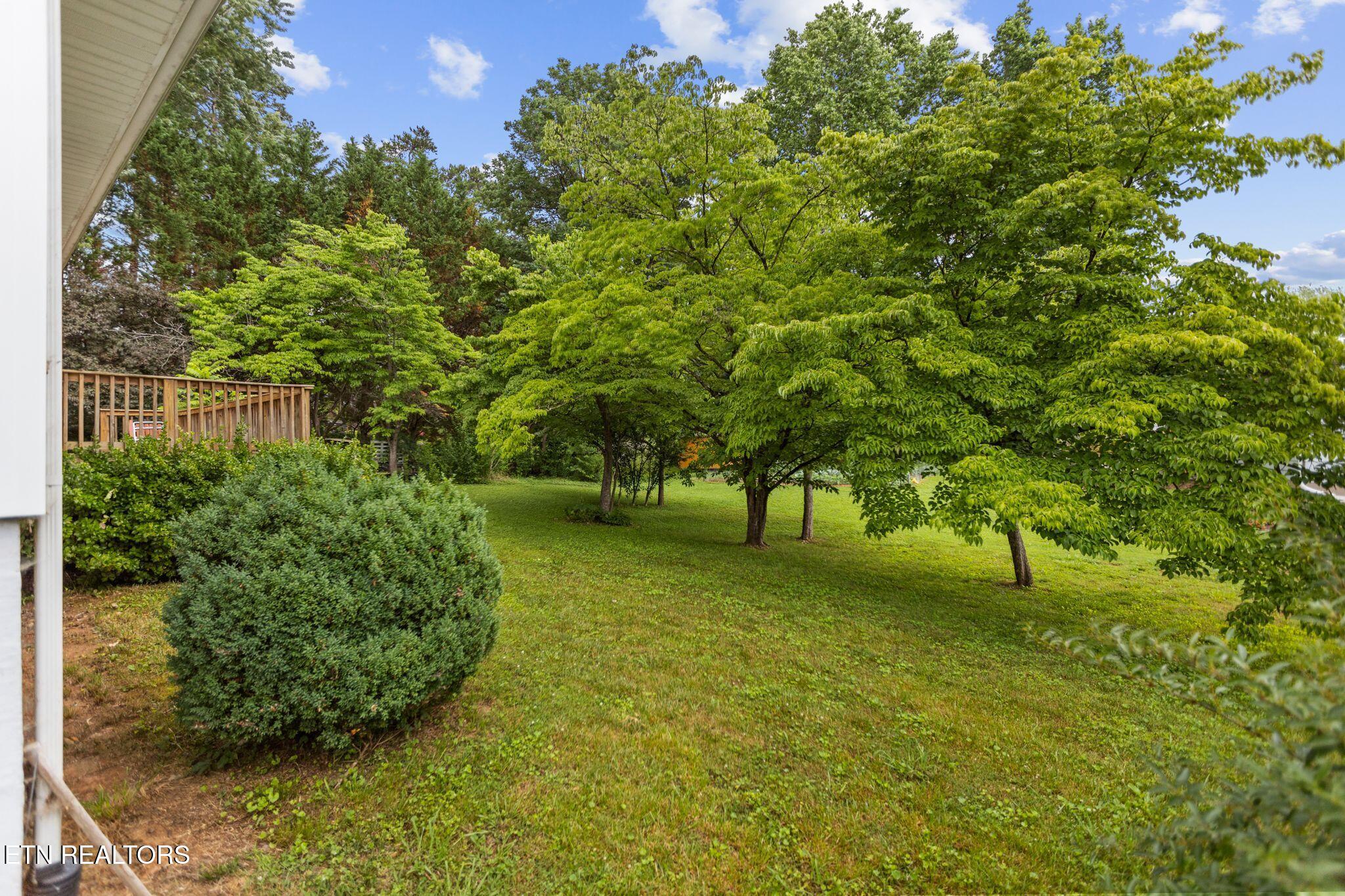 1900 Canby Hills Road Knoxville TN 37923