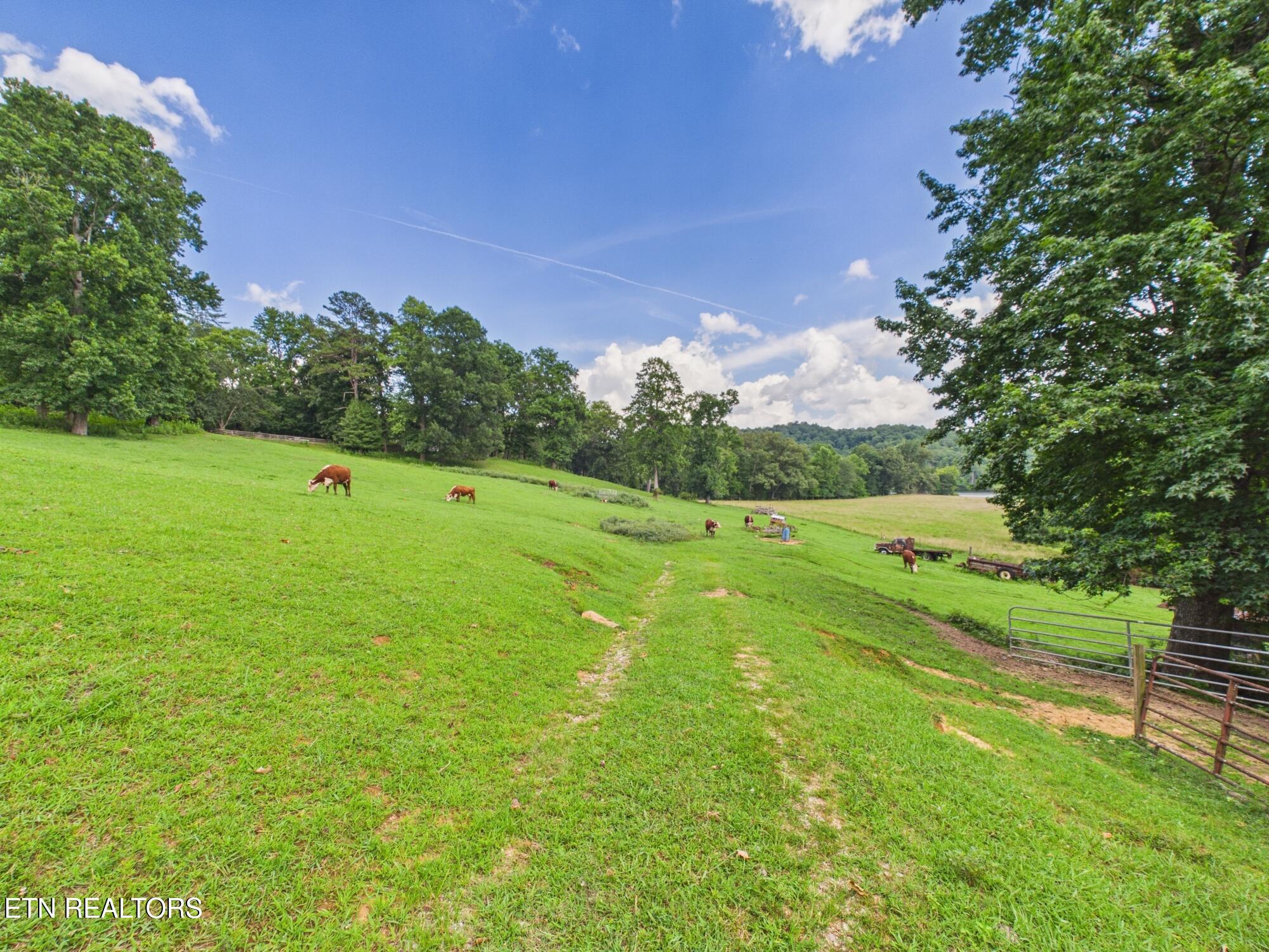 470 Swan Pond Circle Road Harriman TN 37748