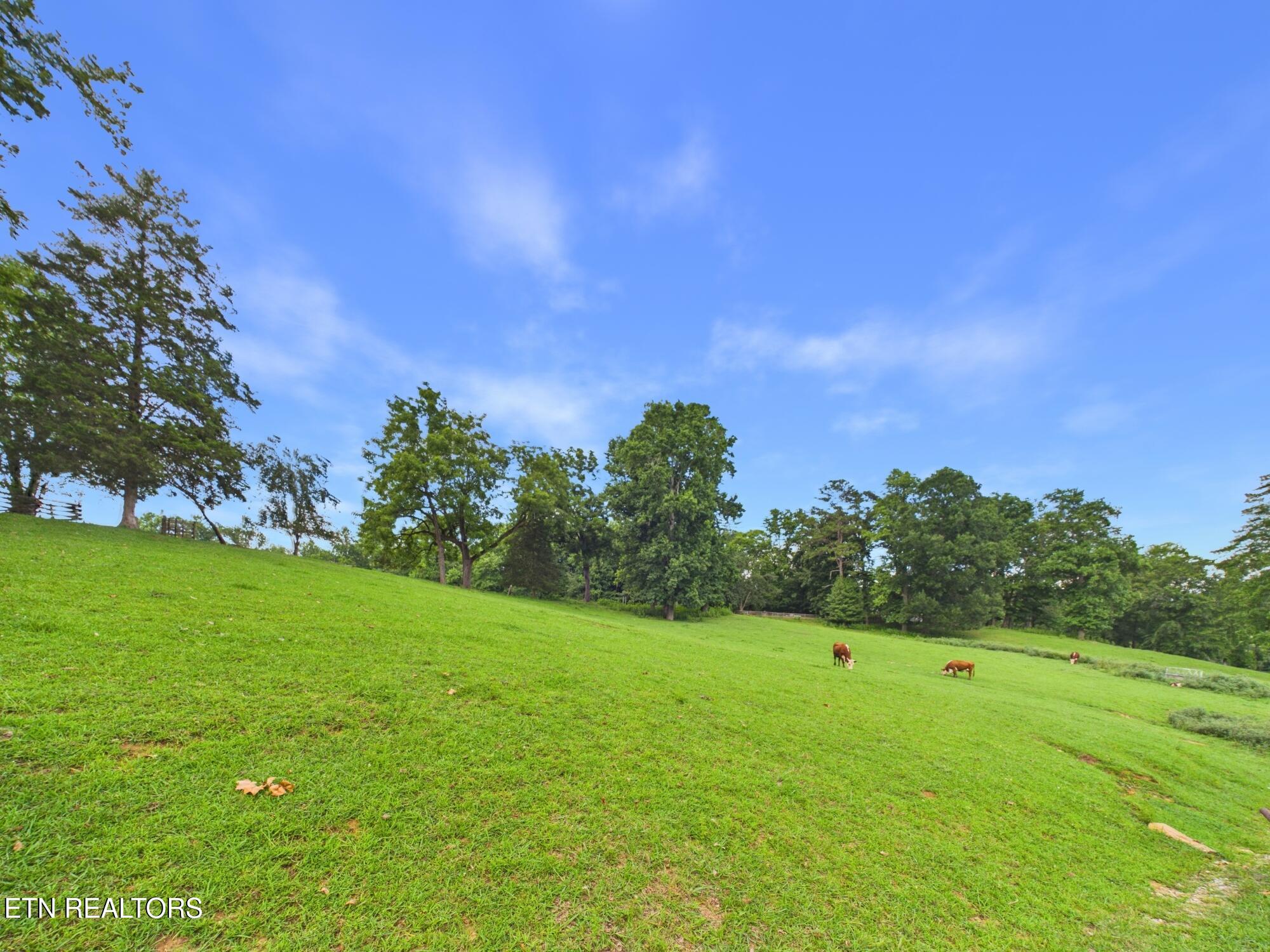 470 Swan Pond Circle Road Harriman TN 37748
