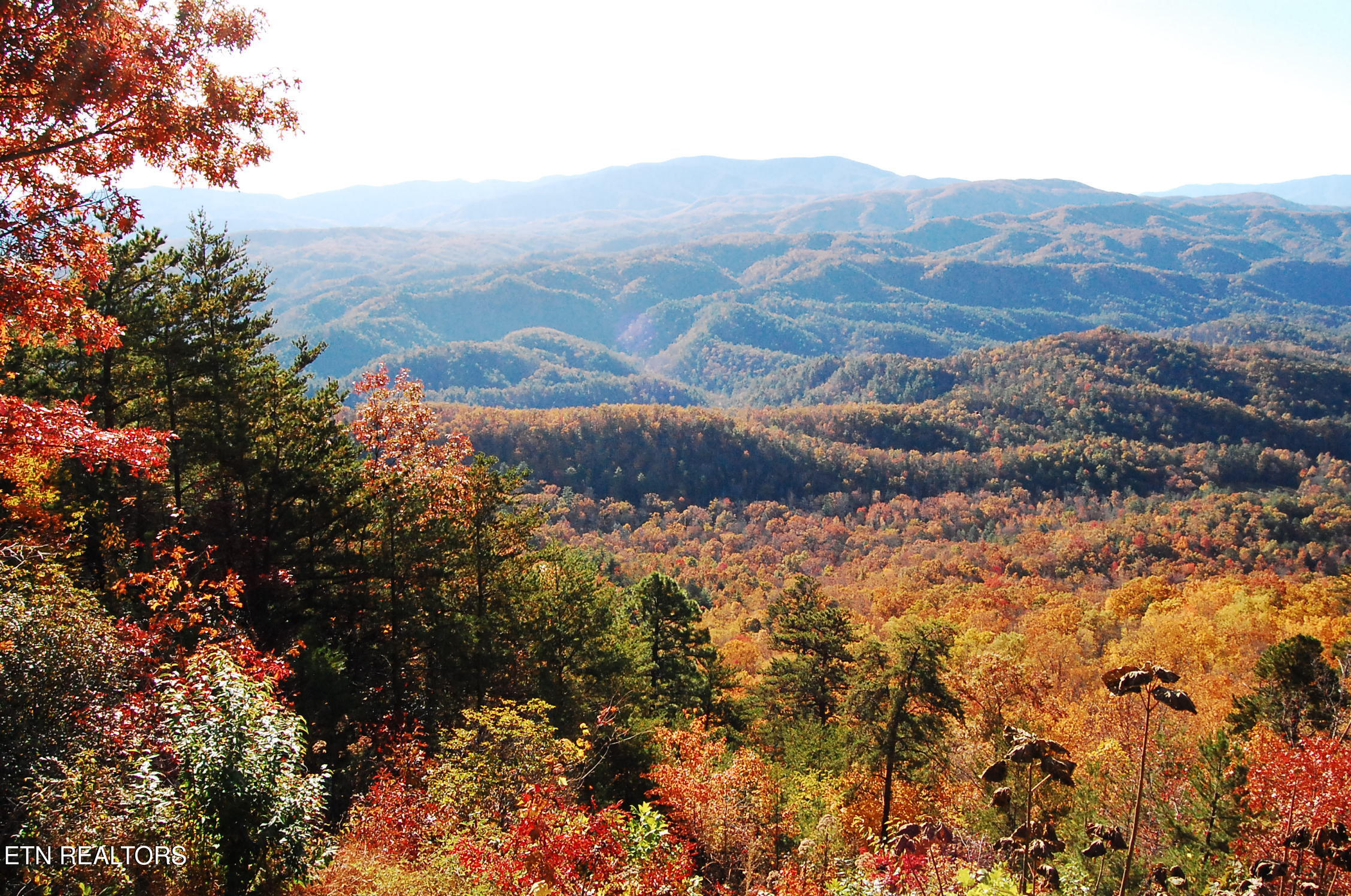 7121 Flats Road Tallassee TN 37878