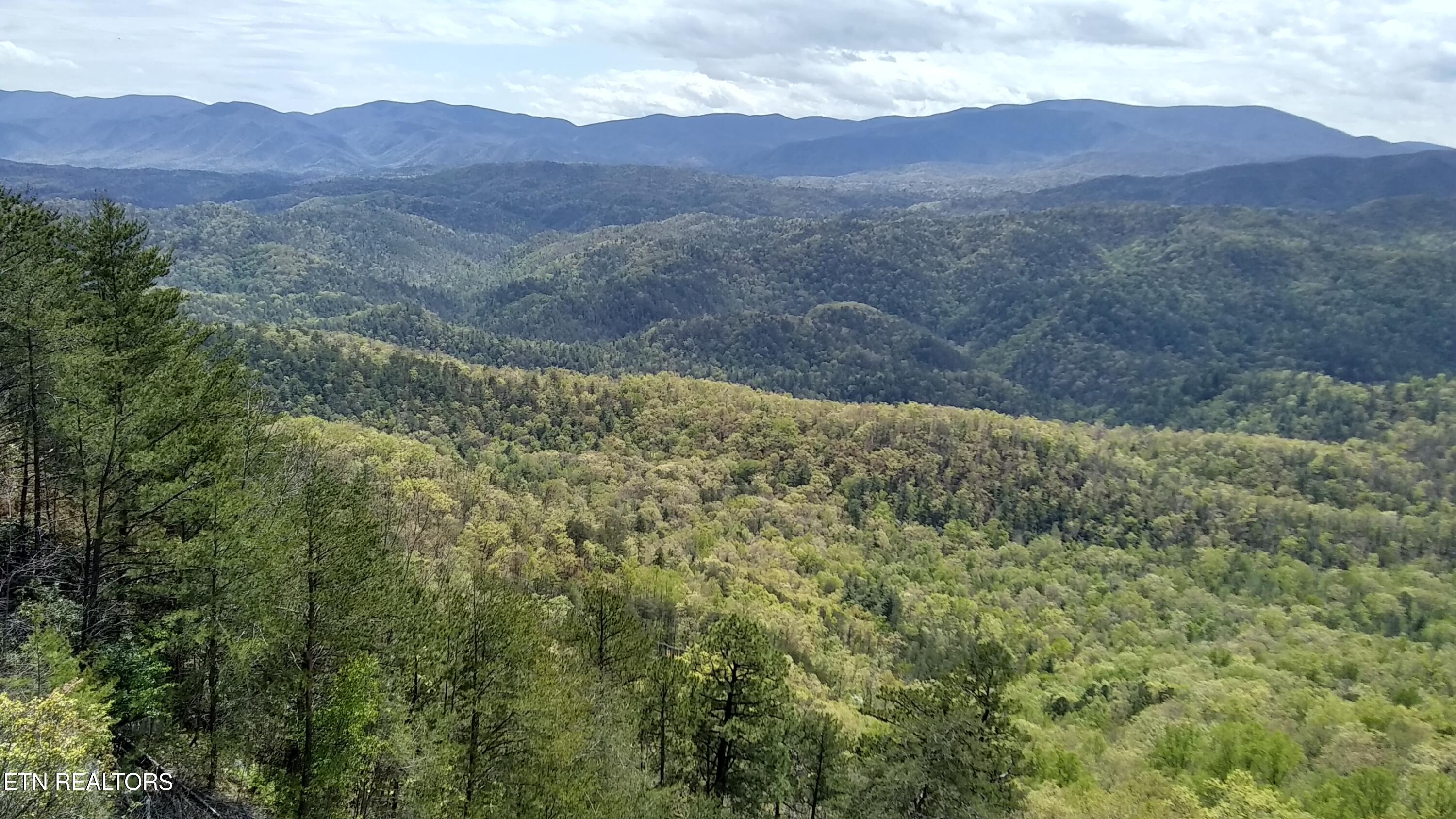 7121 Flats Road Tallassee TN 37878