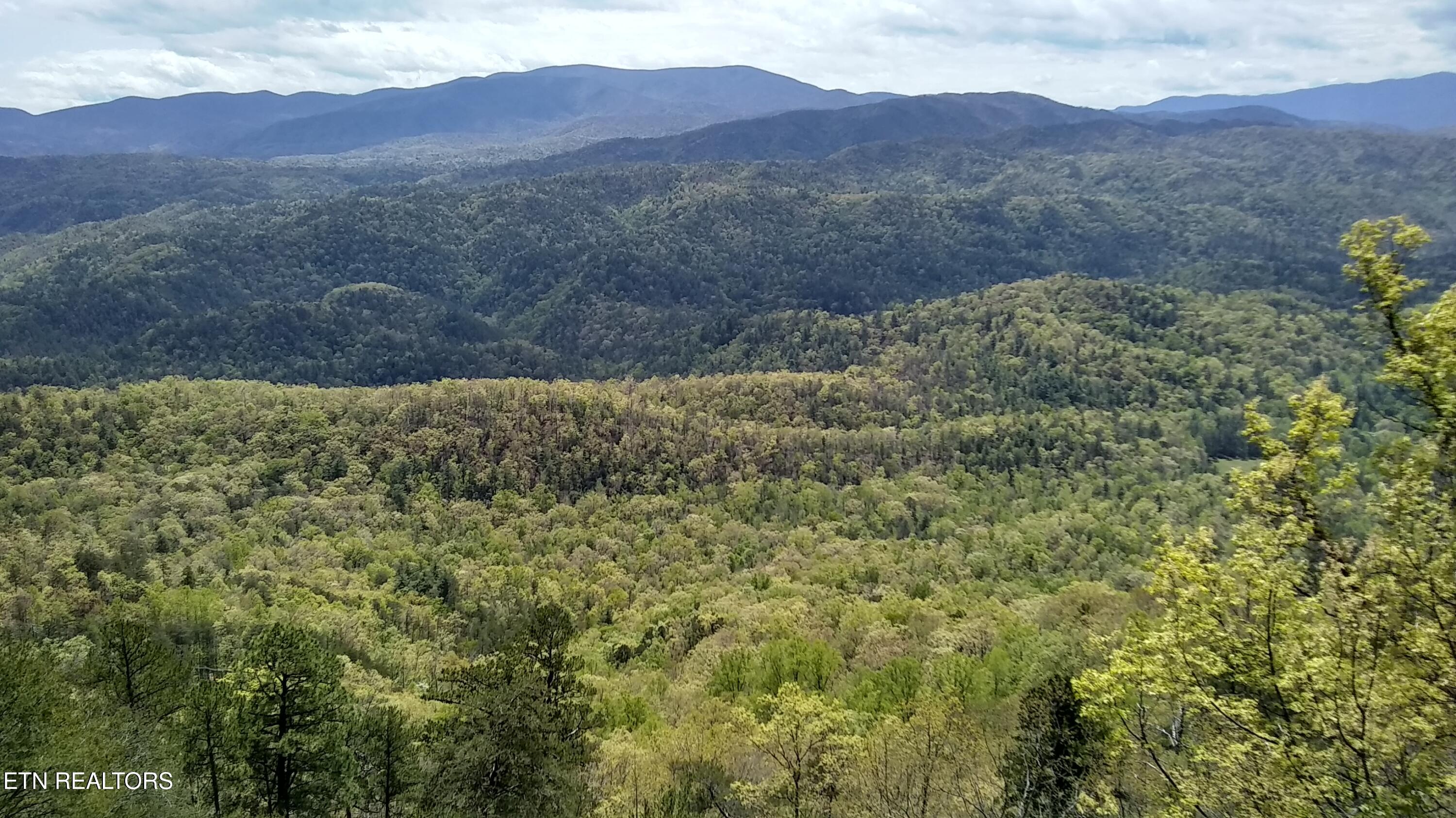 7121 Flats Road Tallassee TN 37878