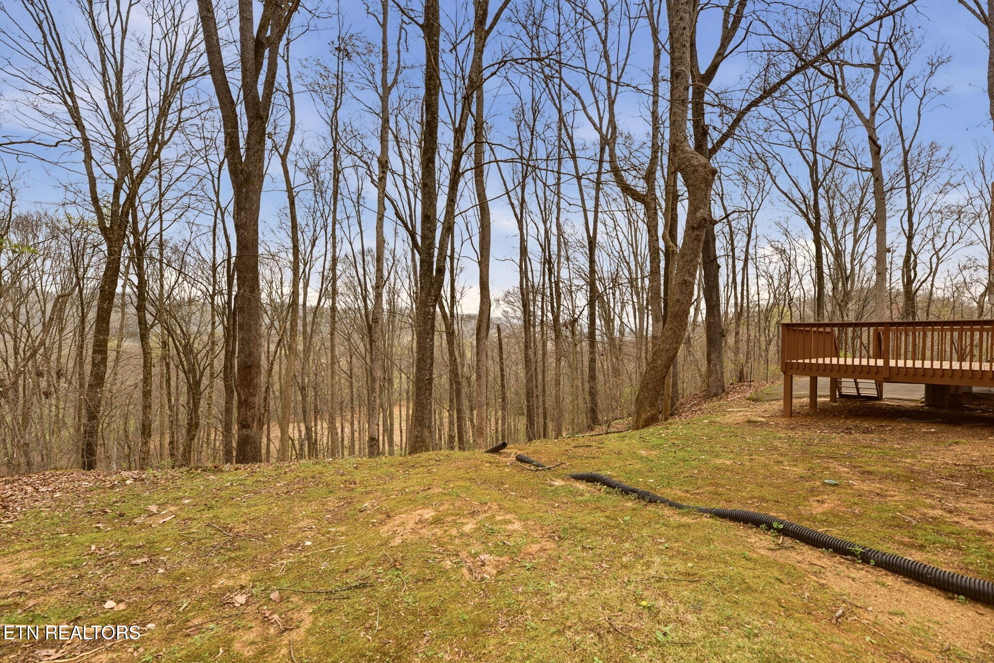 207 Strader Road Powell TN 37849