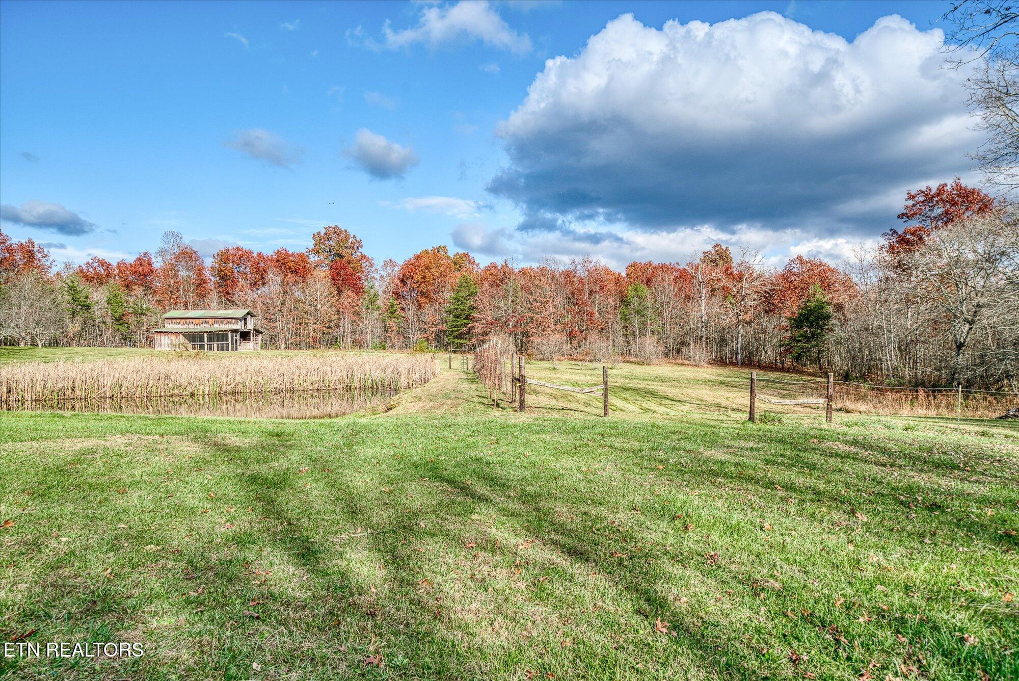 193 Renee Drive Deer Lodge TN 37726