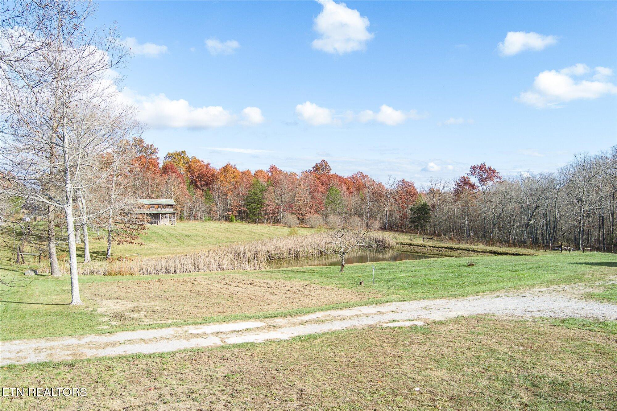 193 Renee Drive Deer Lodge TN 37726