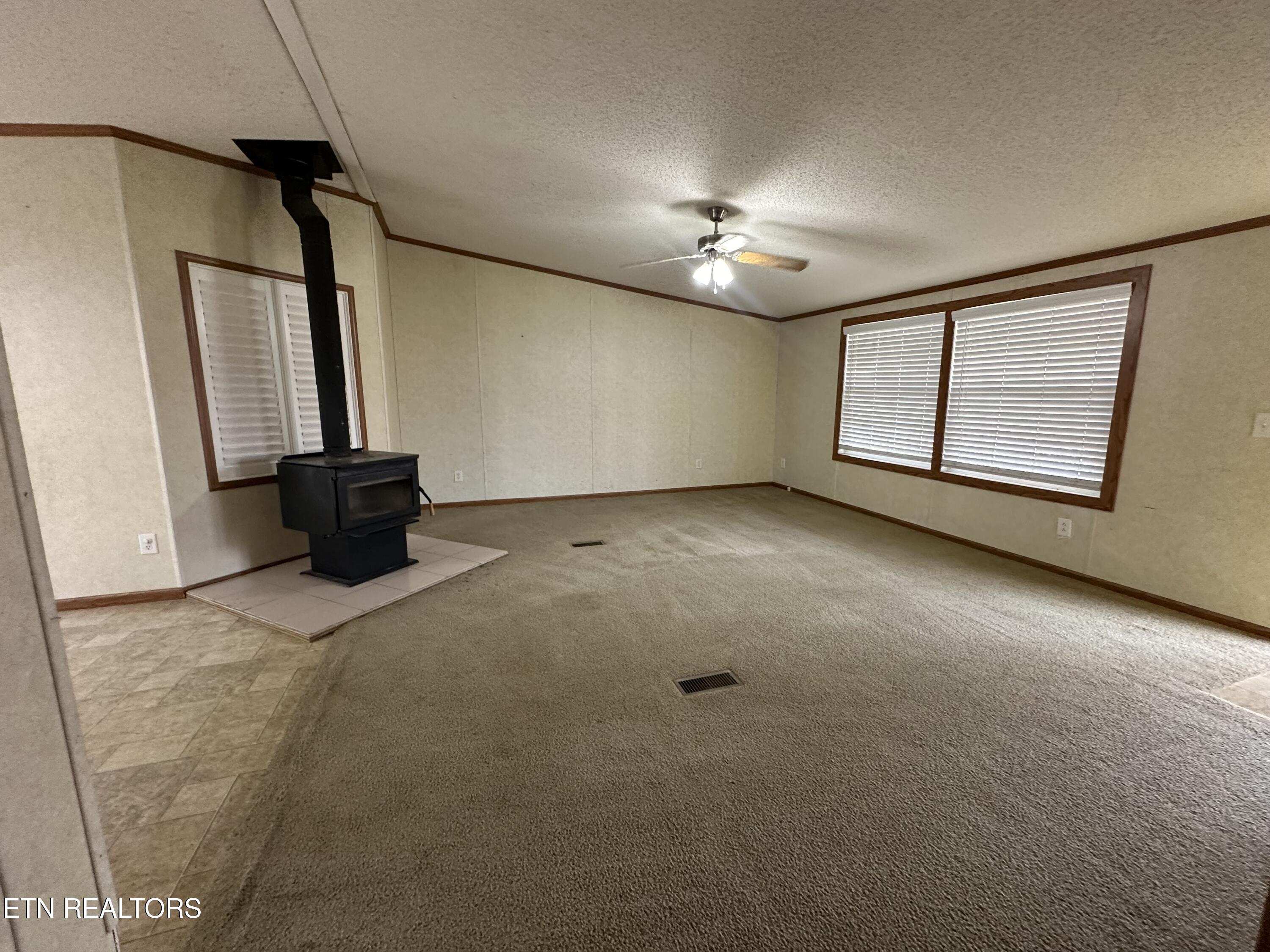 193 Renee Drive Deer Lodge TN 37726