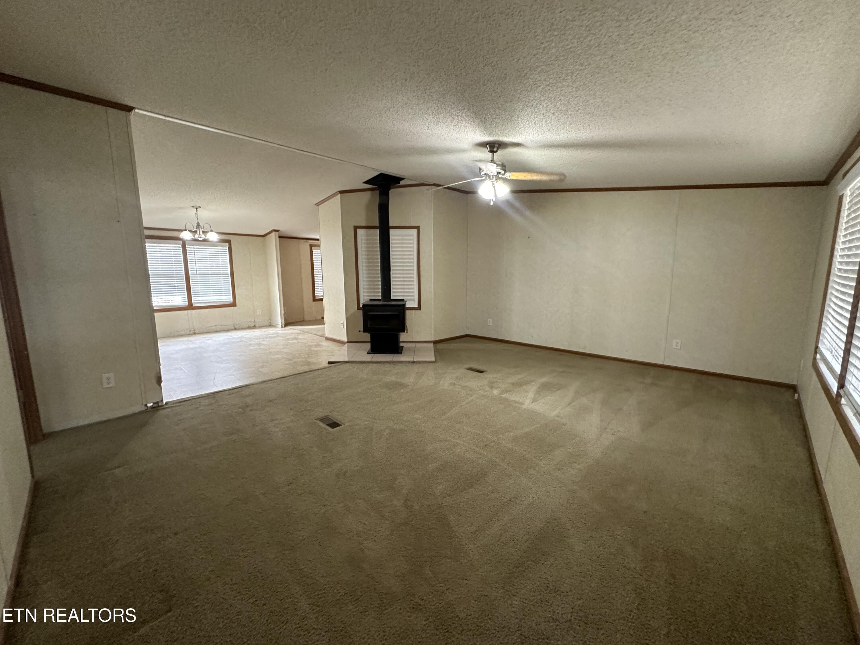 193 Renee Drive Deer Lodge TN 37726