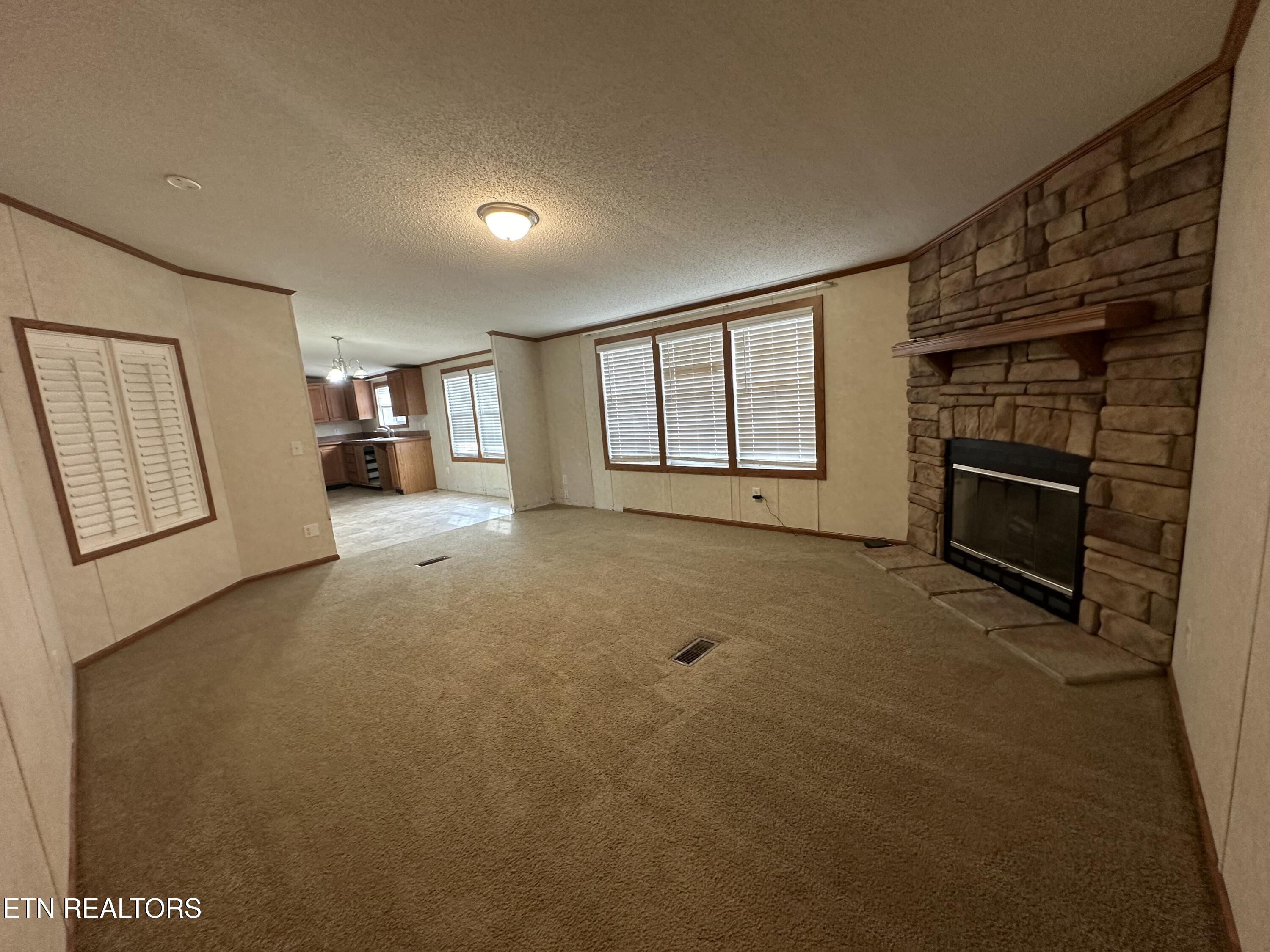 193 Renee Drive Deer Lodge TN 37726