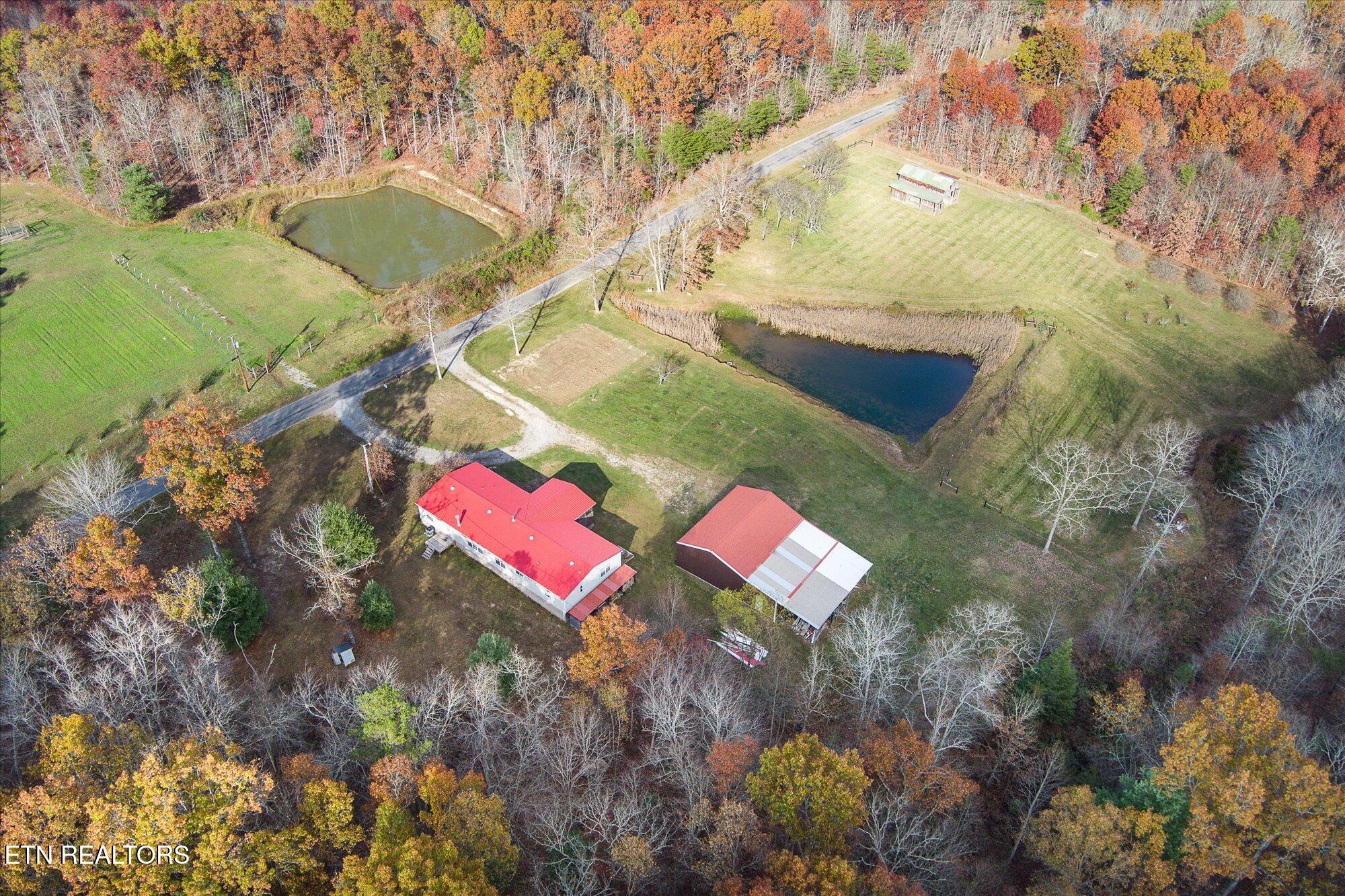 193 Renee Drive Deer Lodge TN 37726