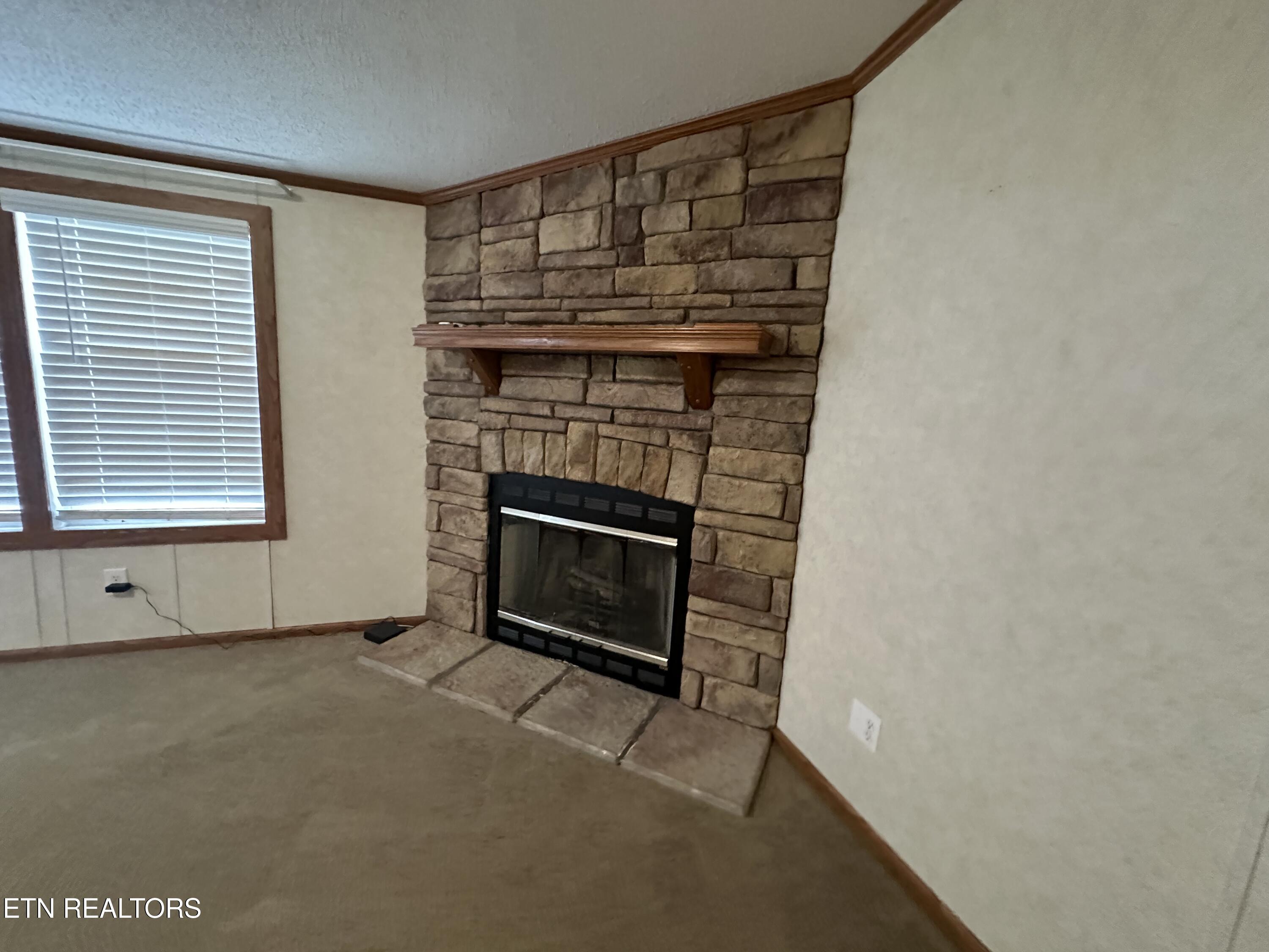 193 Renee Drive Deer Lodge TN 37726