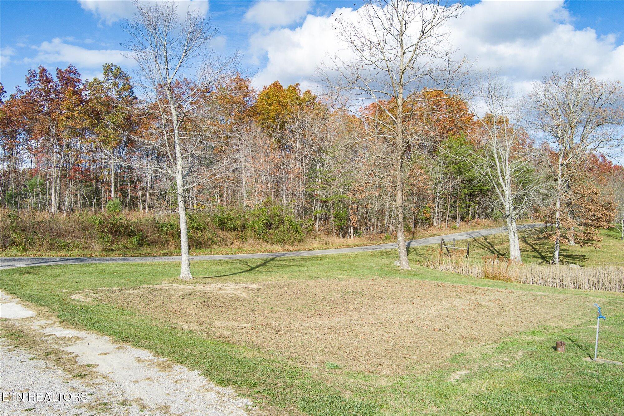 193 Renee Drive Deer Lodge TN 37726