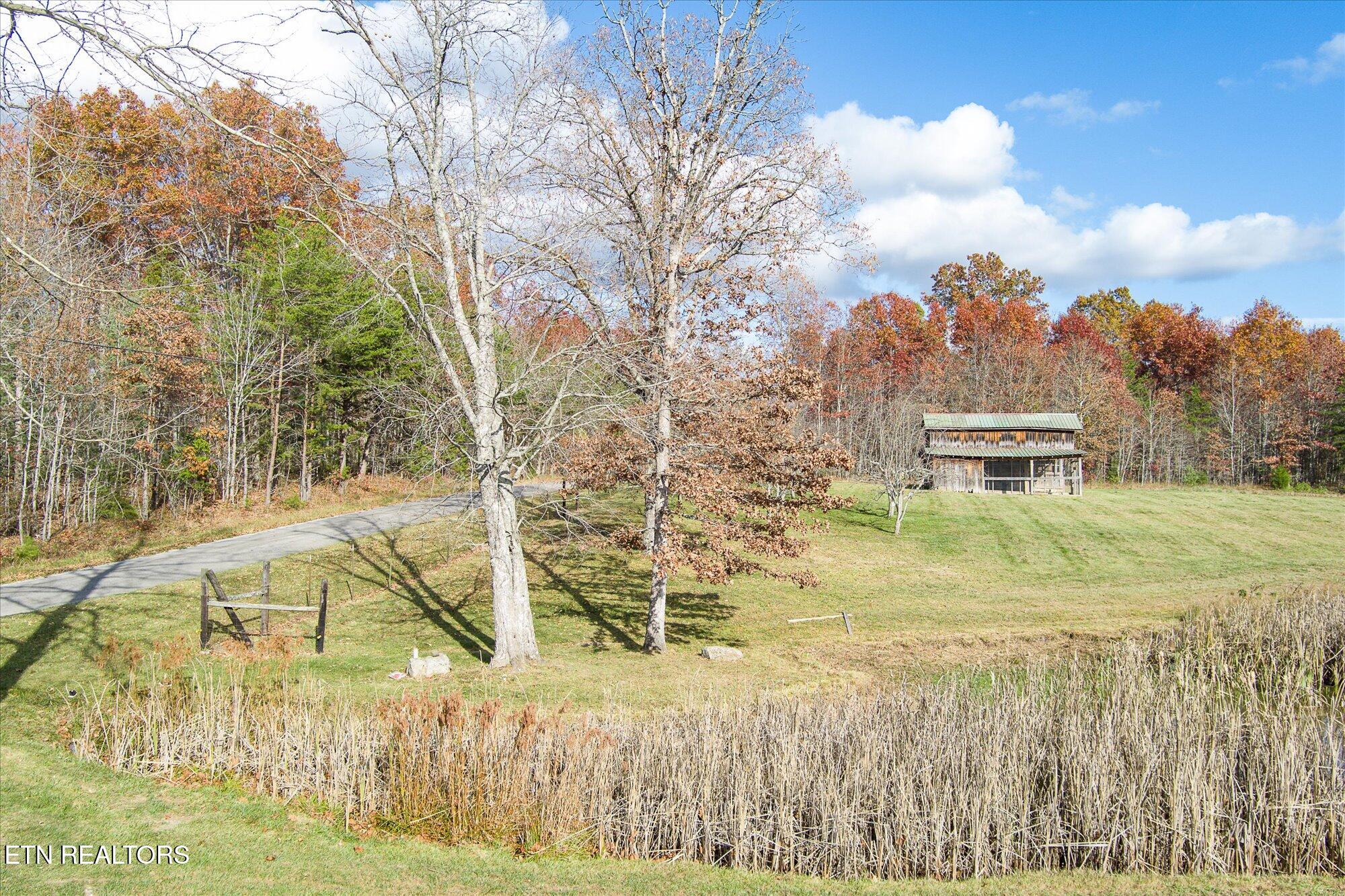 193 Renee Drive Deer Lodge TN 37726