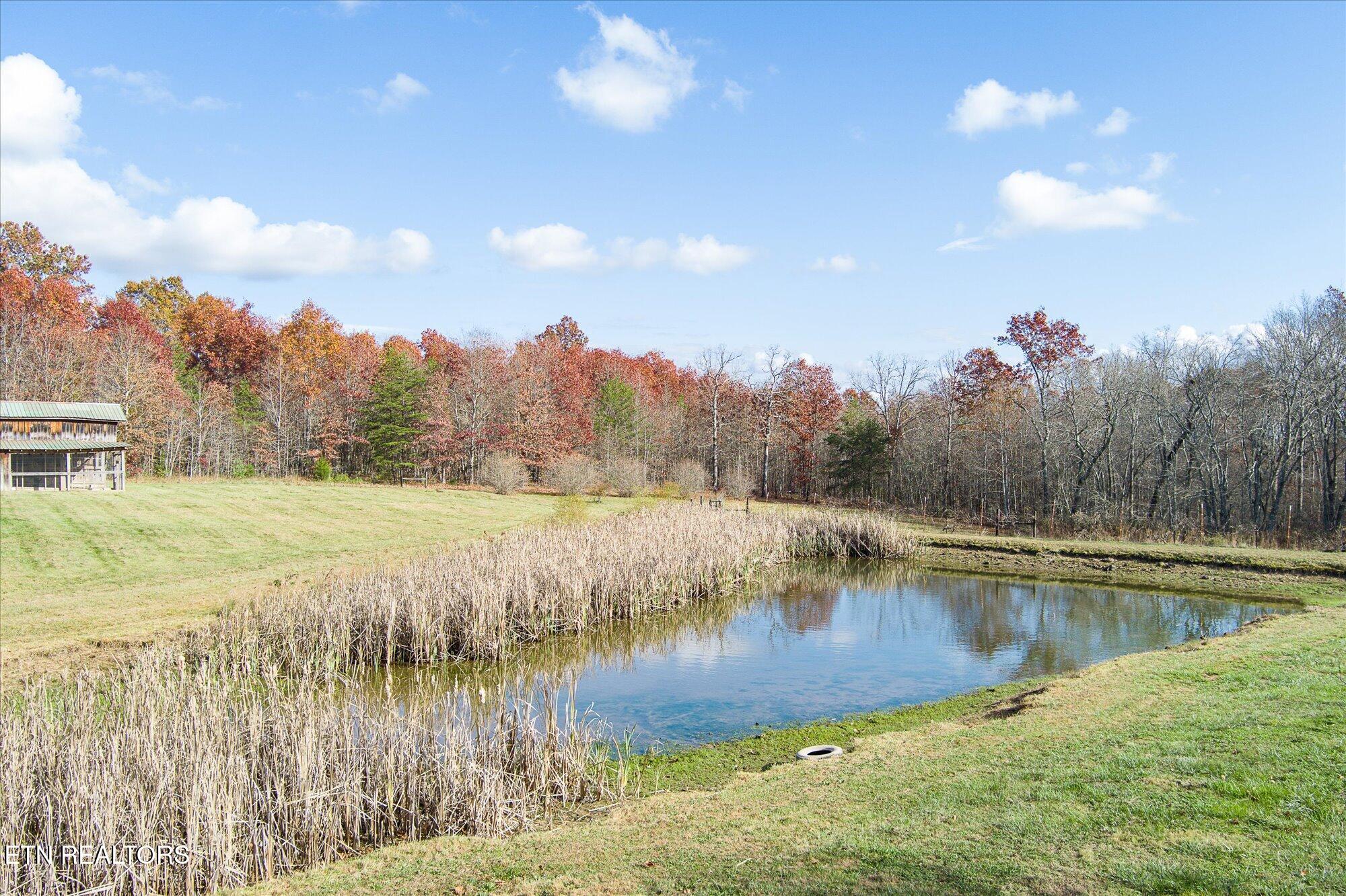 193 Renee Drive Deer Lodge TN 37726