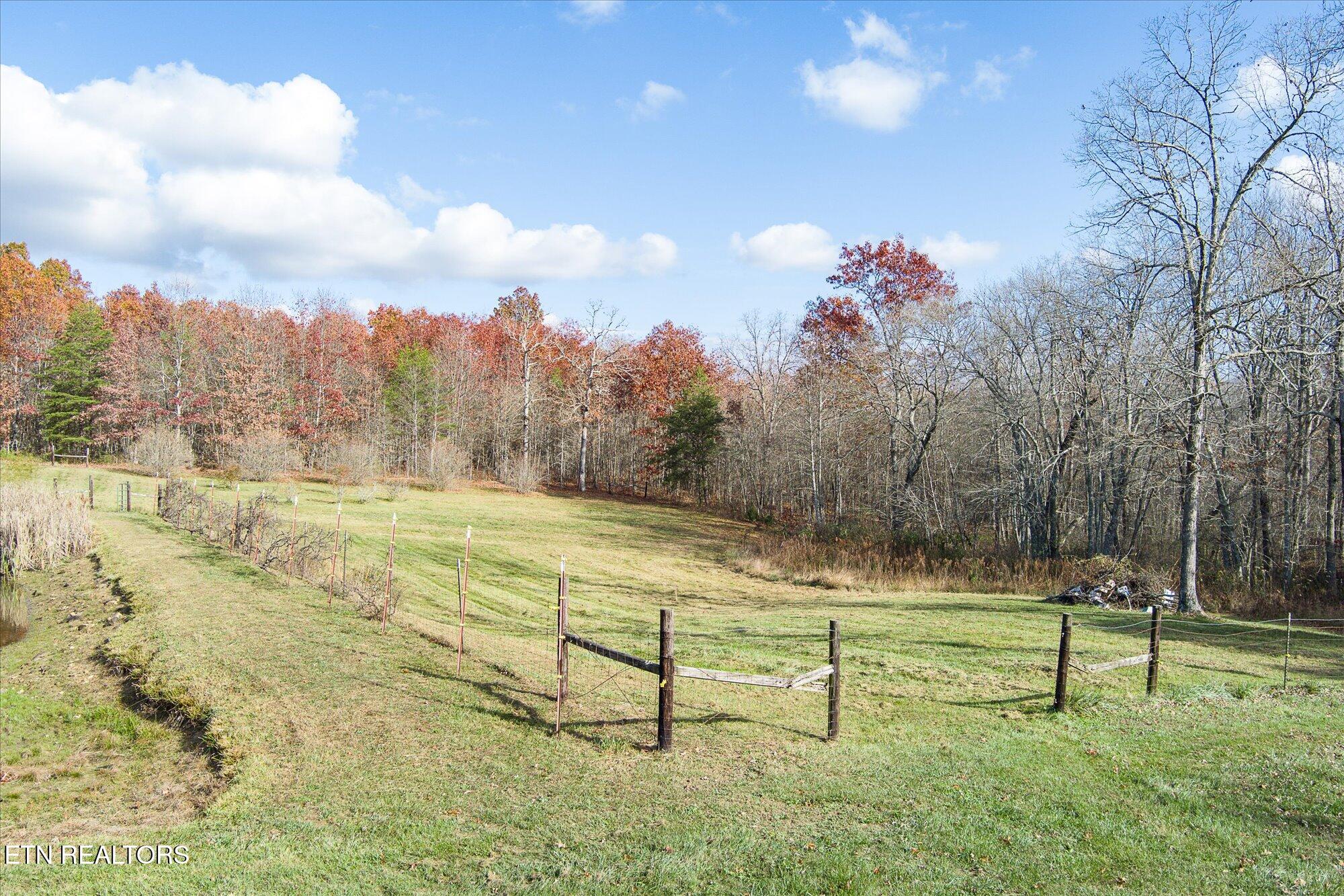 193 Renee Drive Deer Lodge TN 37726