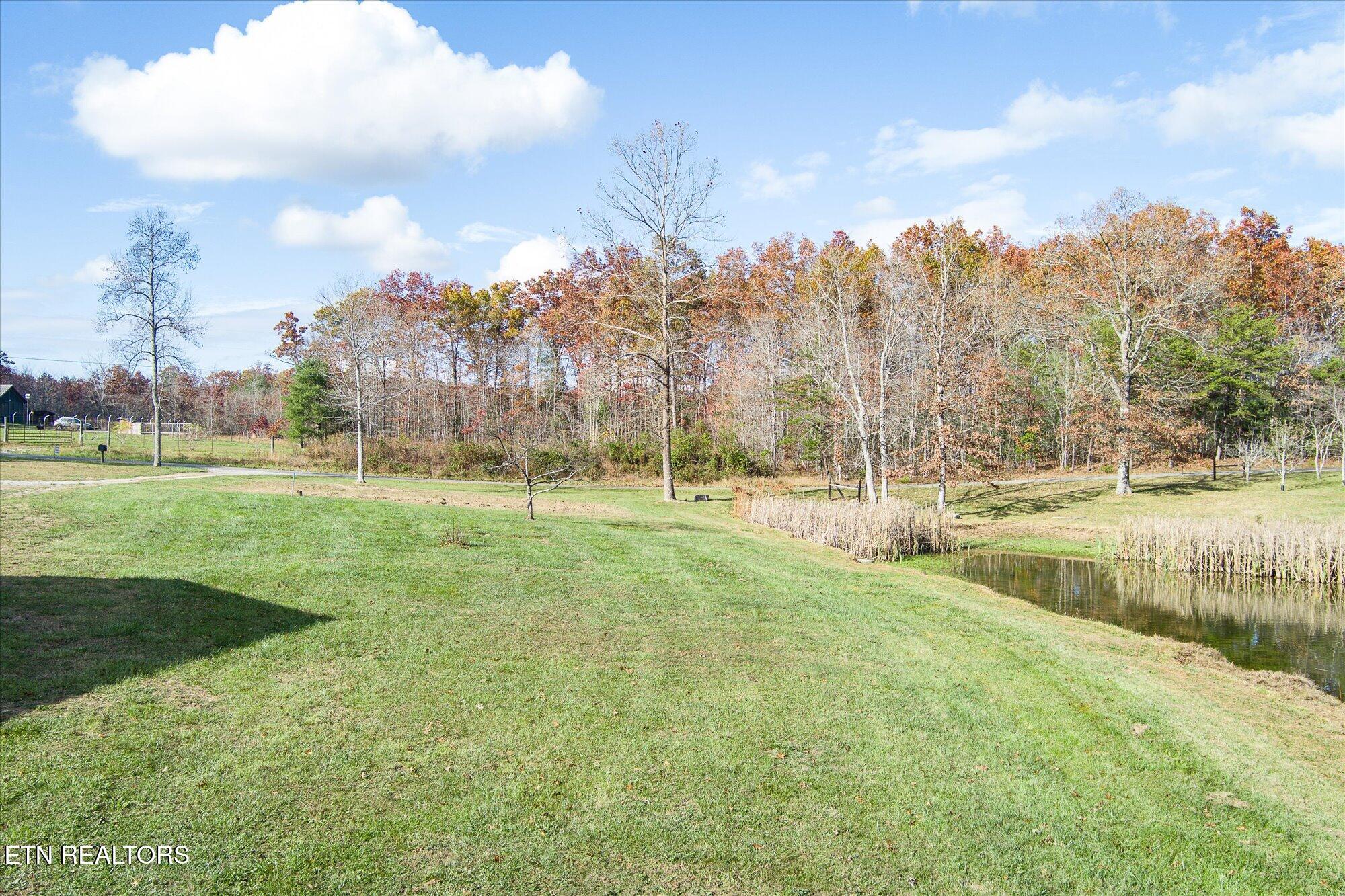 193 Renee Drive Deer Lodge TN 37726