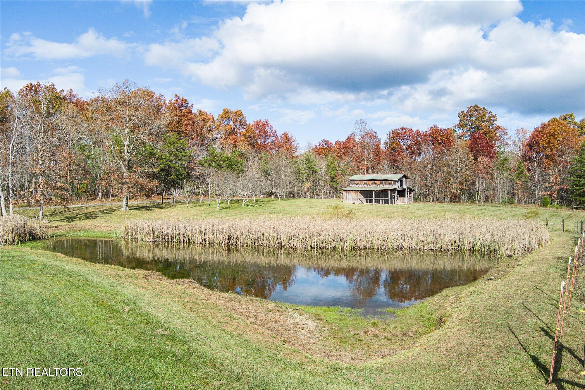 193 Renee Drive Deer Lodge TN 37726