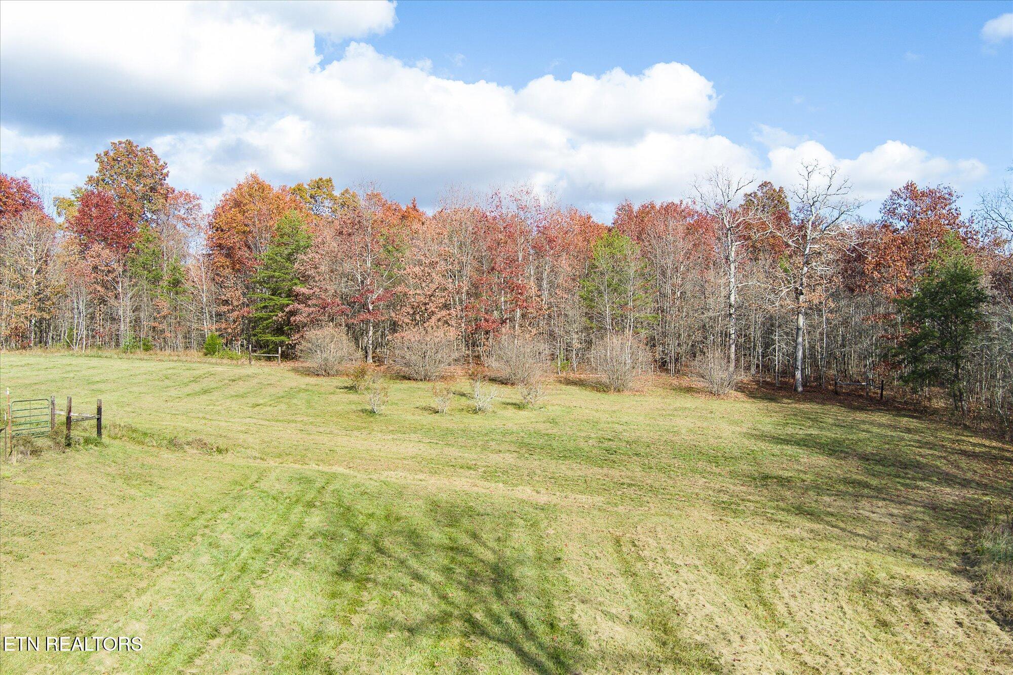 193 Renee Drive Deer Lodge TN 37726