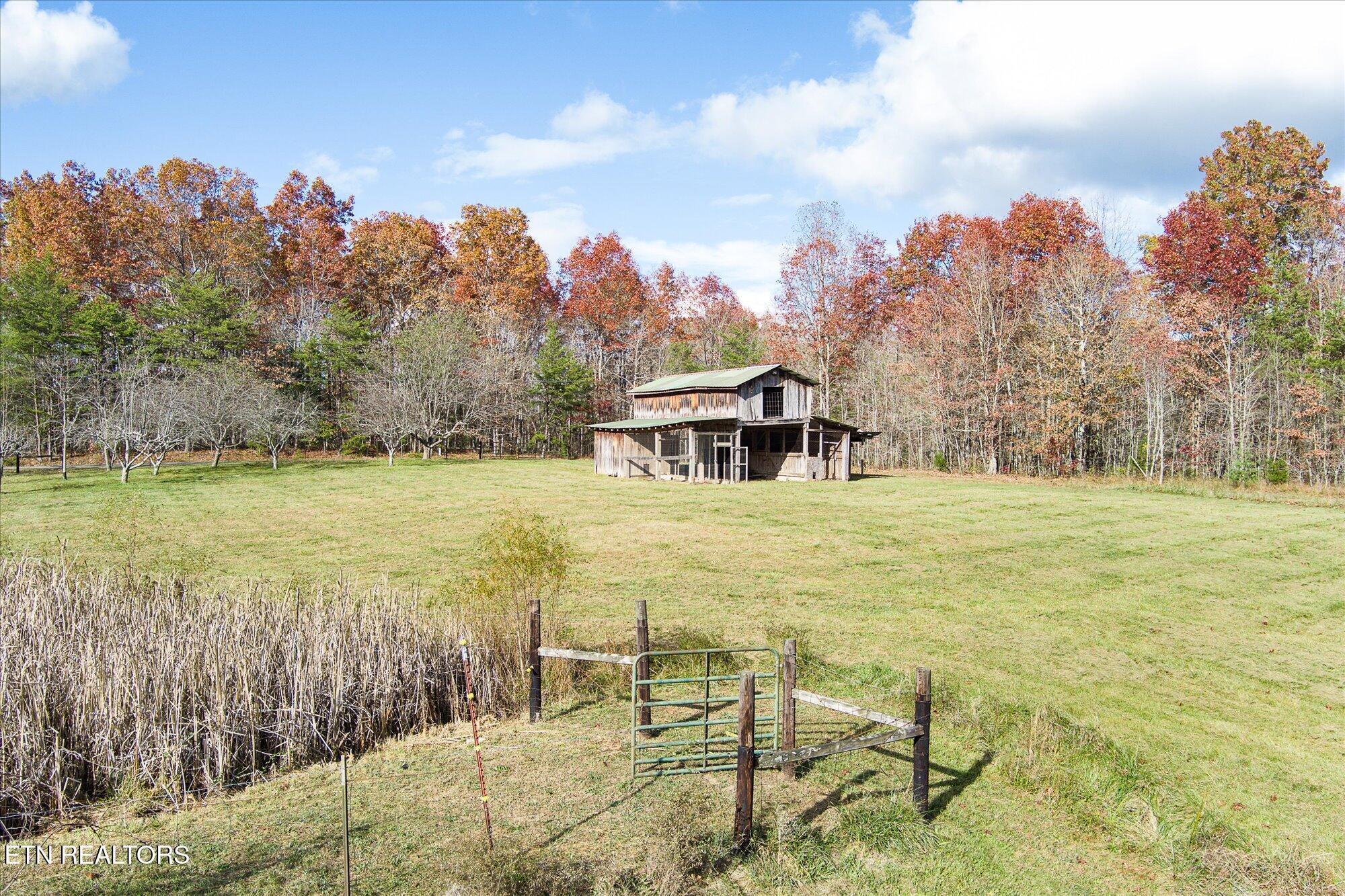193 Renee Drive Deer Lodge TN 37726