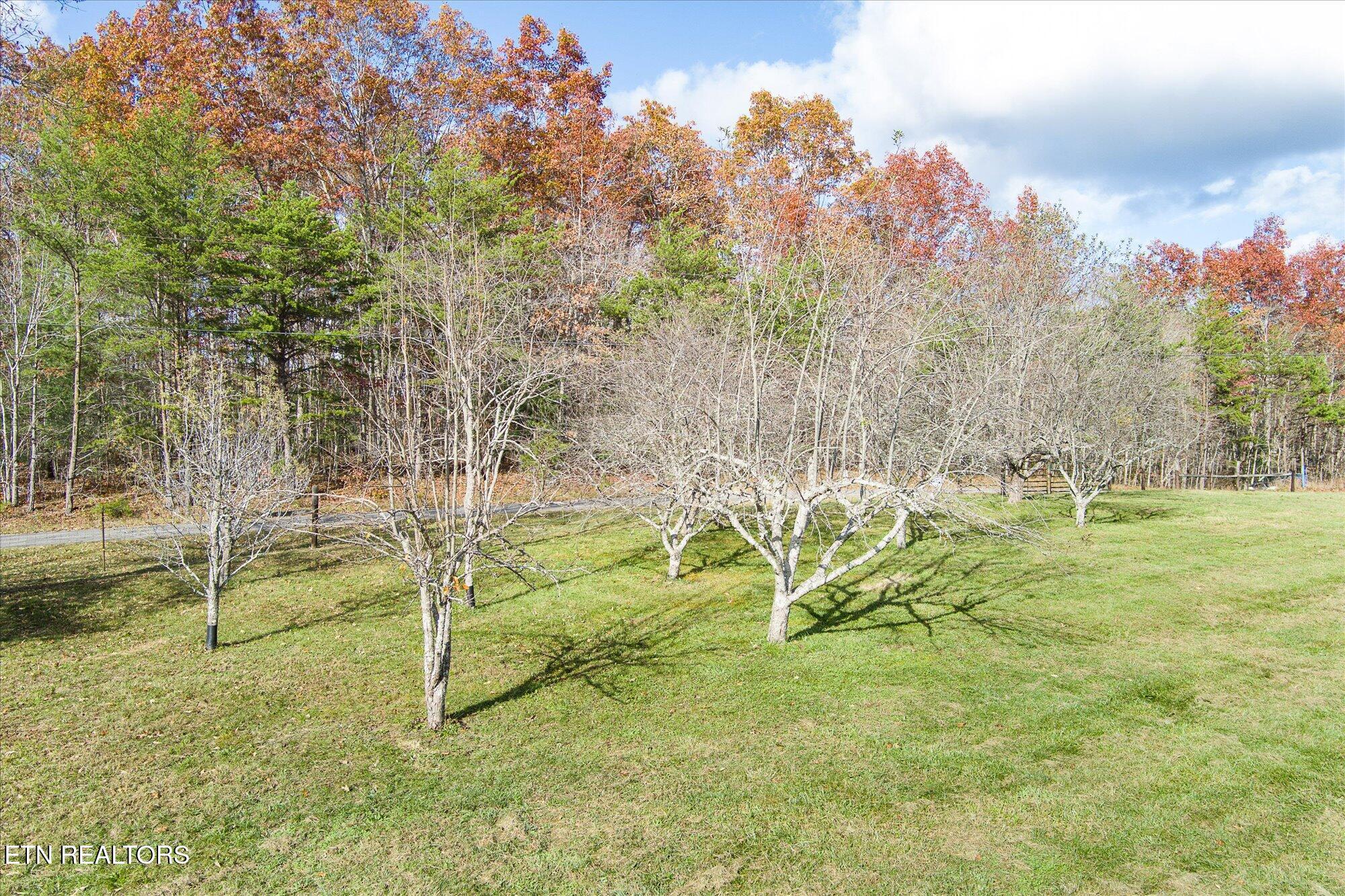 193 Renee Drive Deer Lodge TN 37726