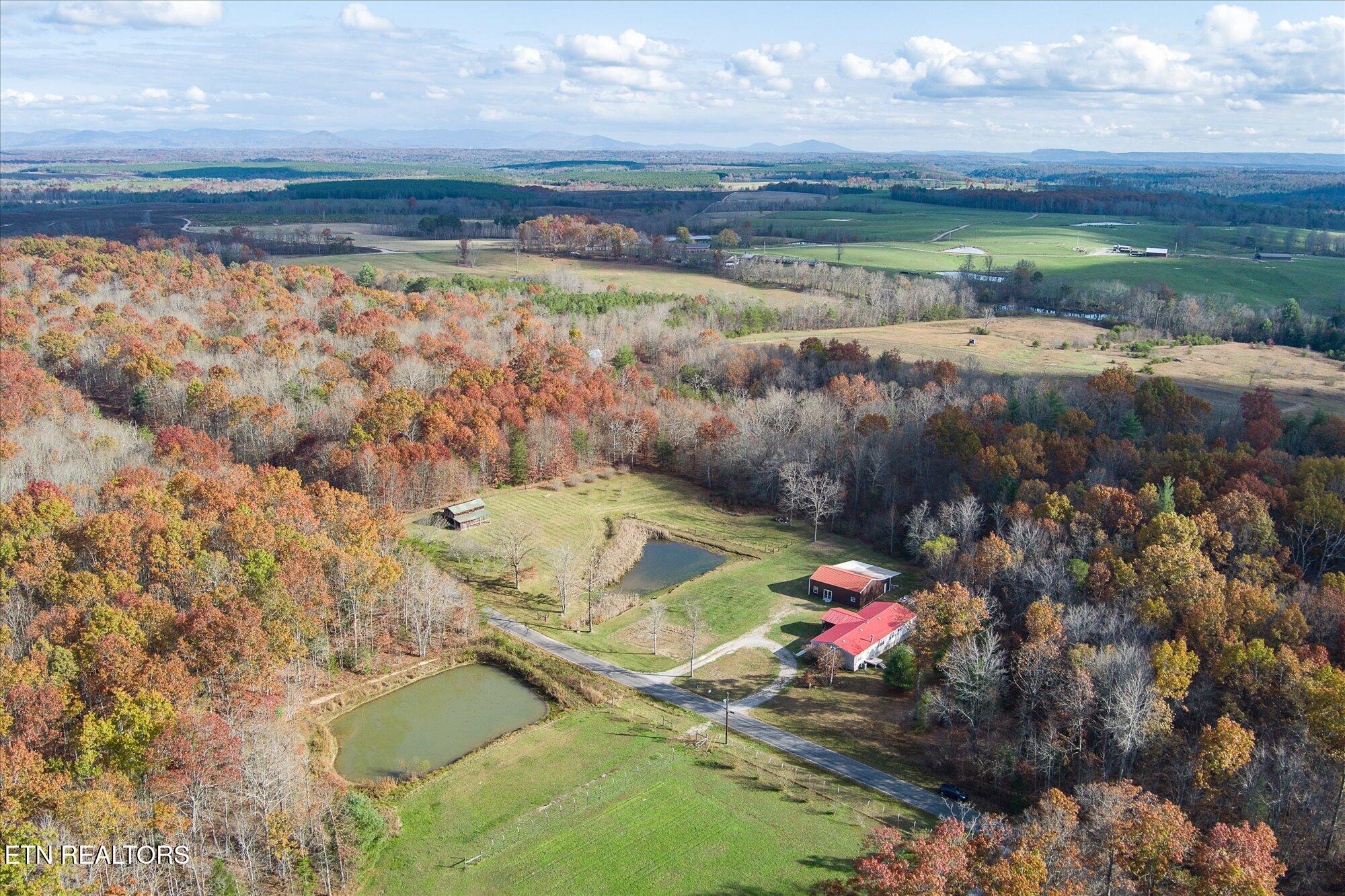 193 Renee Drive Deer Lodge TN 37726