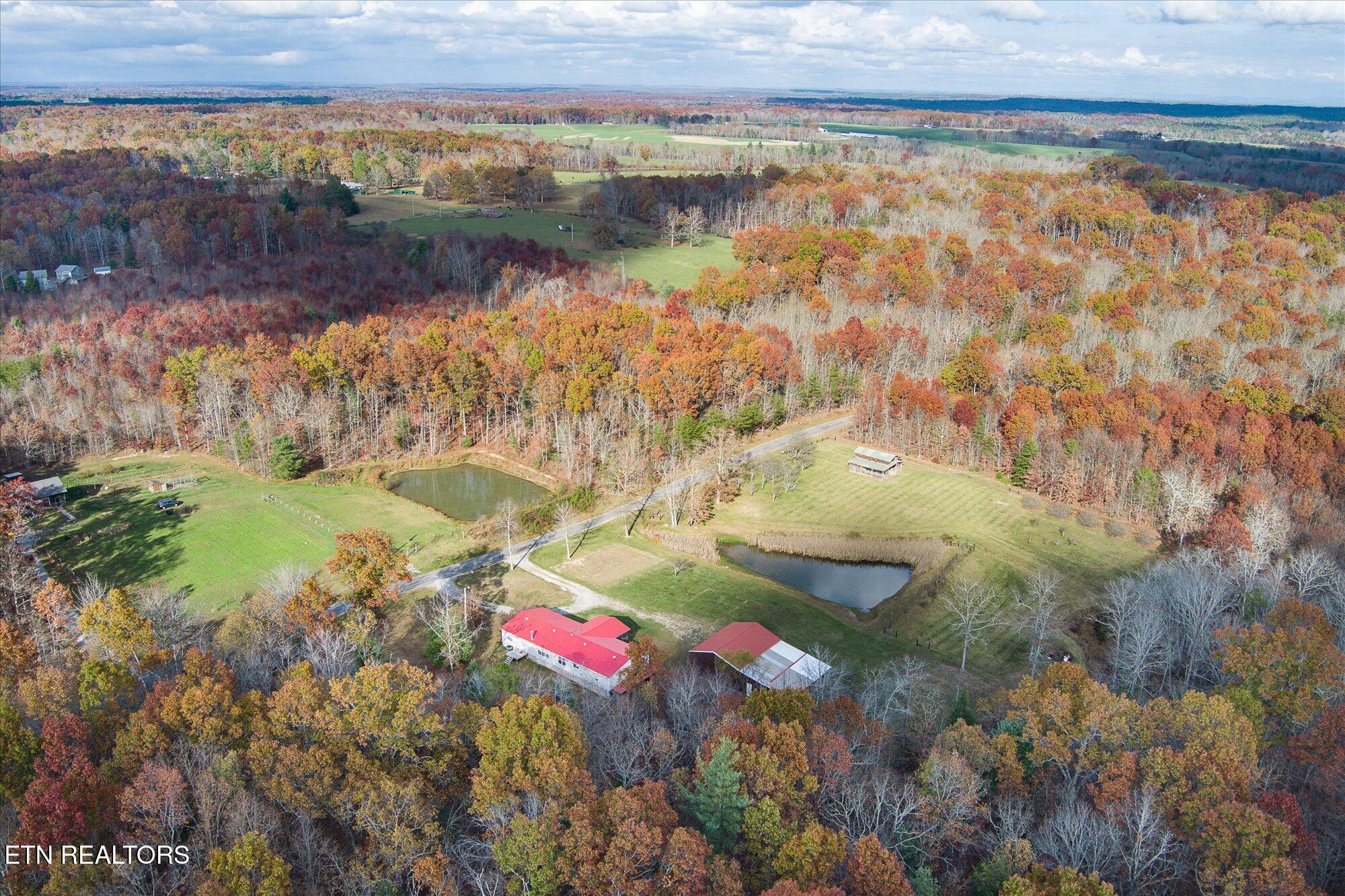 193 Renee Drive Deer Lodge TN 37726