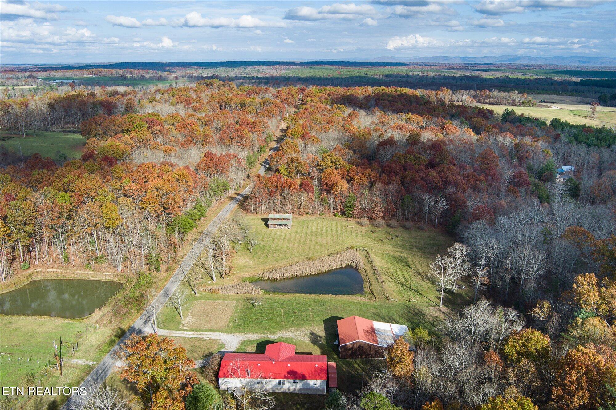 193 Renee Drive Deer Lodge TN 37726