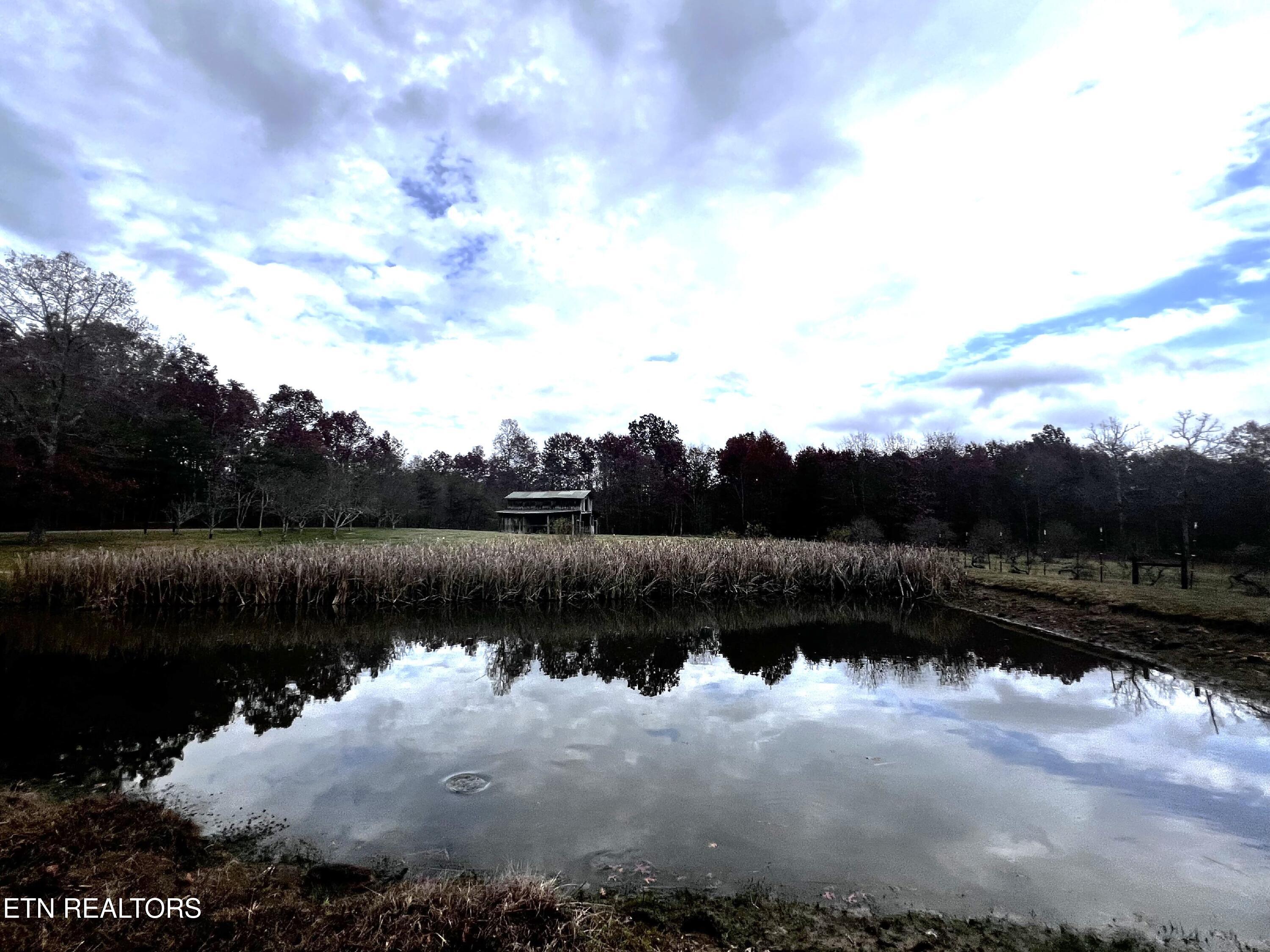 193 Renee Drive Deer Lodge TN 37726