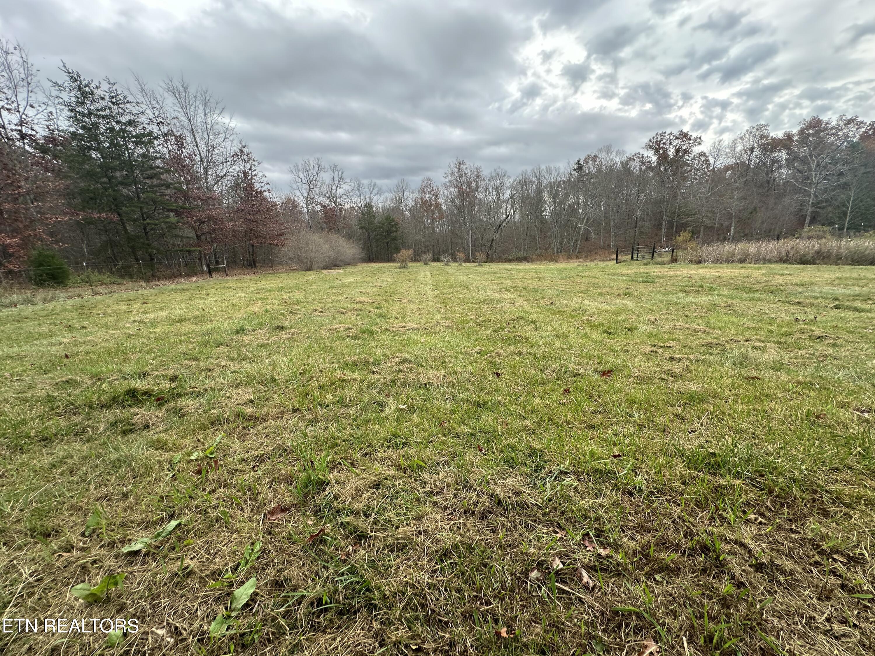 193 Renee Drive Deer Lodge TN 37726