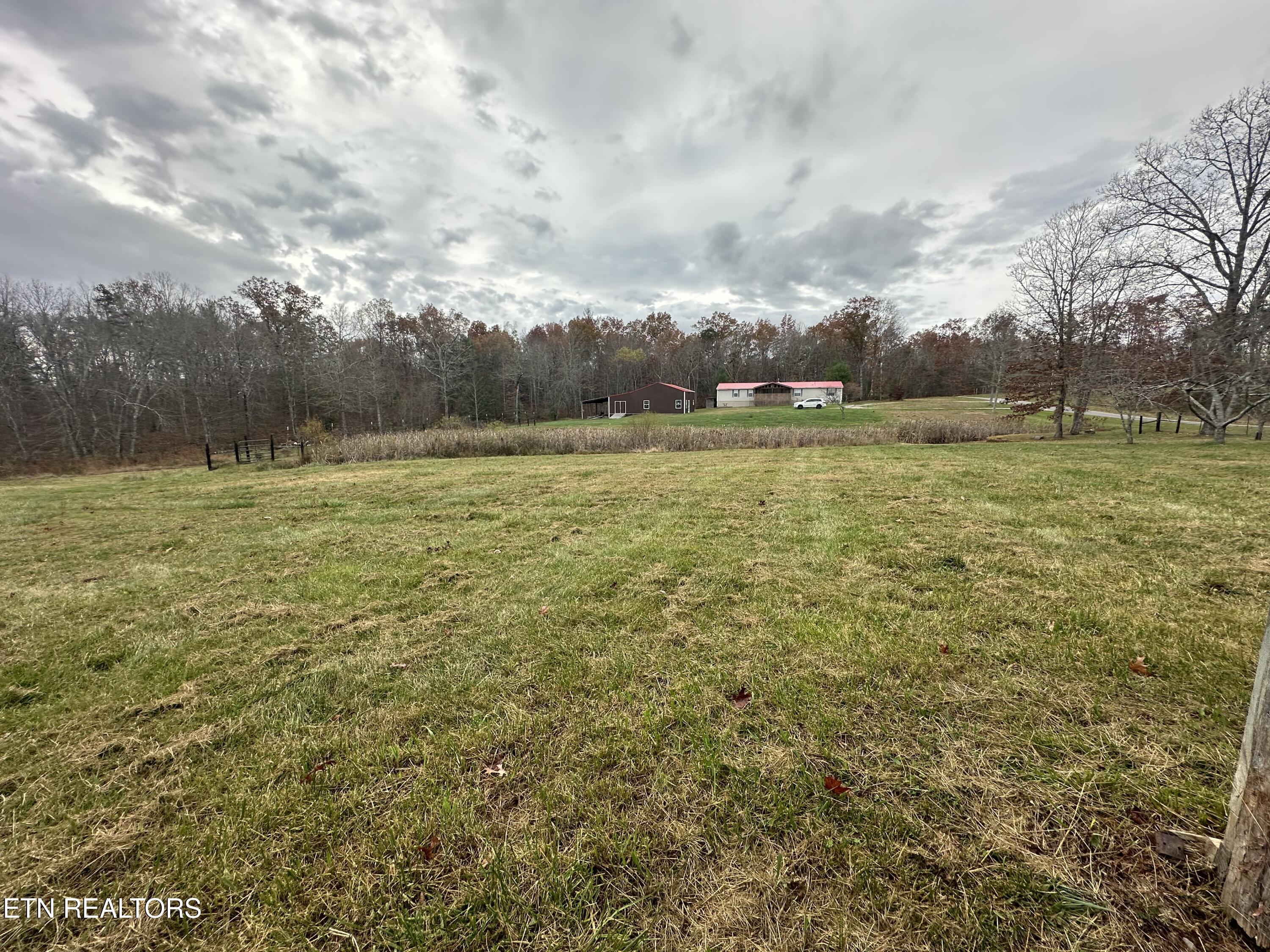 193 Renee Drive Deer Lodge TN 37726