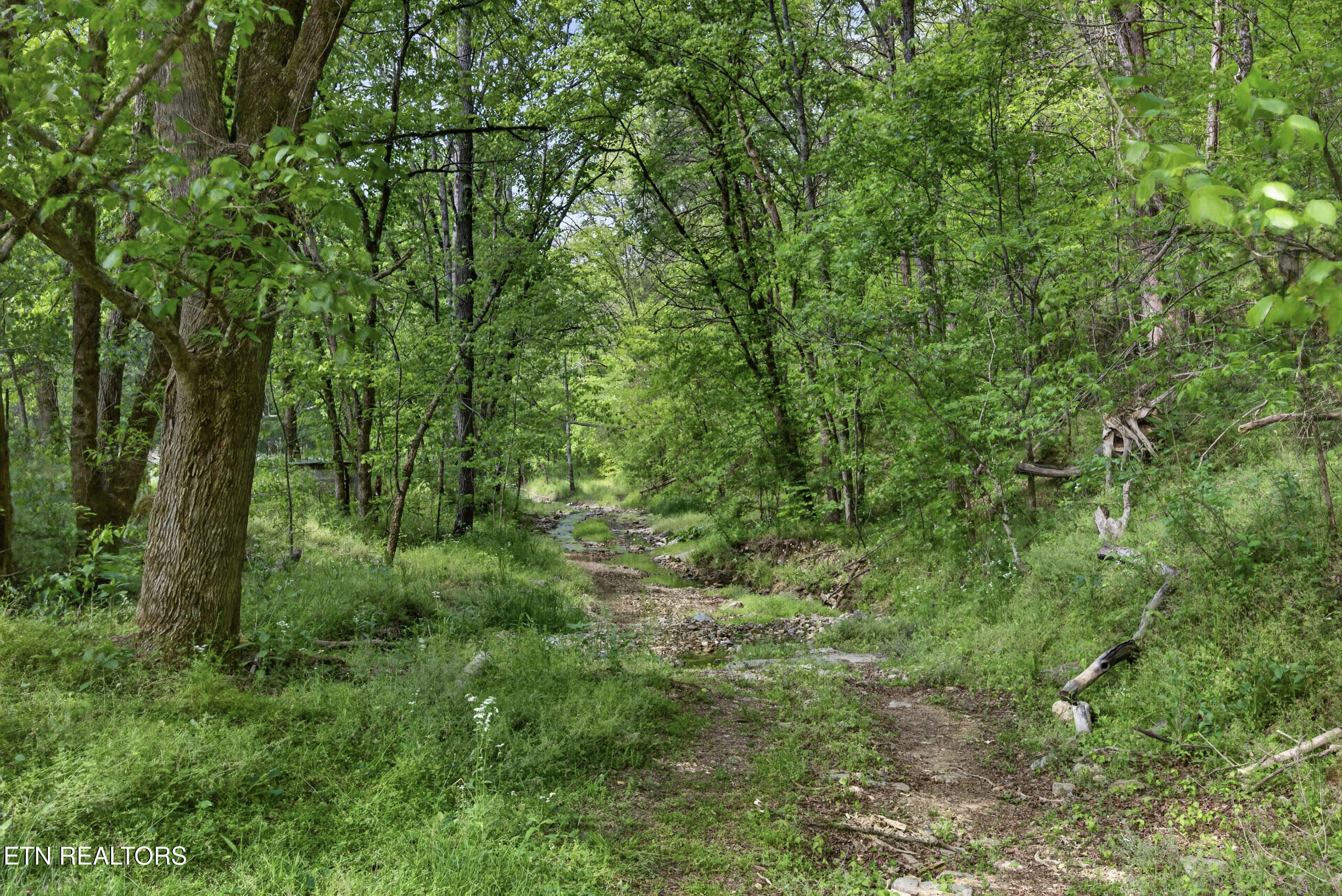 700 Ben Birdwell Lane Bloomington Springs TN 38545