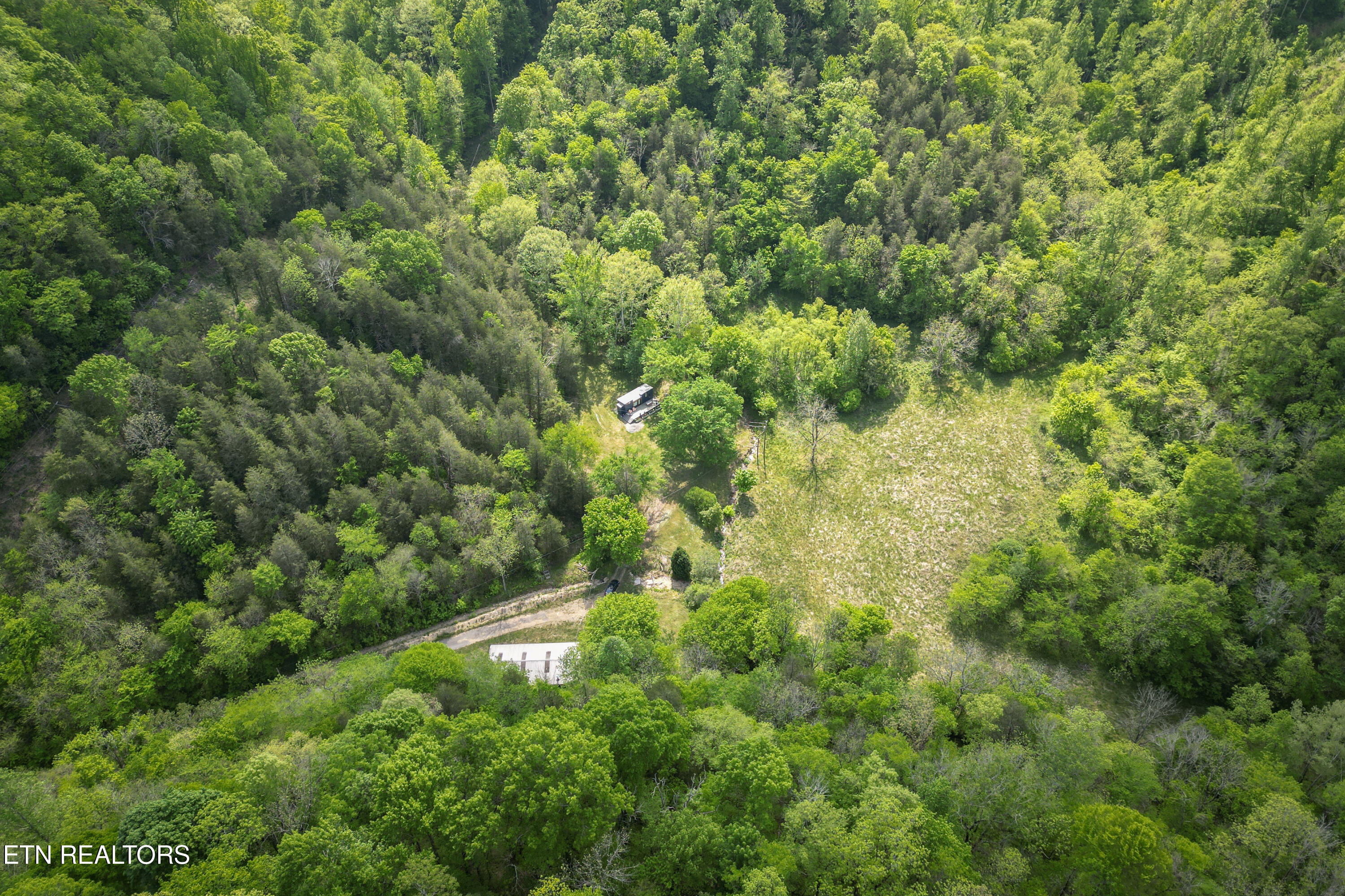 700 Ben Birdwell Lane Bloomington Springs TN 38545