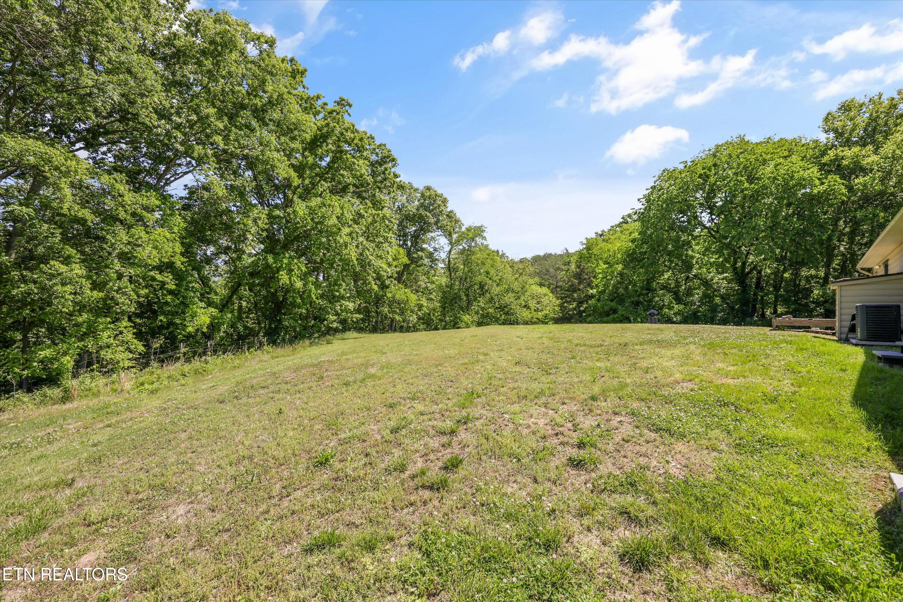 397 Lewis Lane Blaine TN 37709