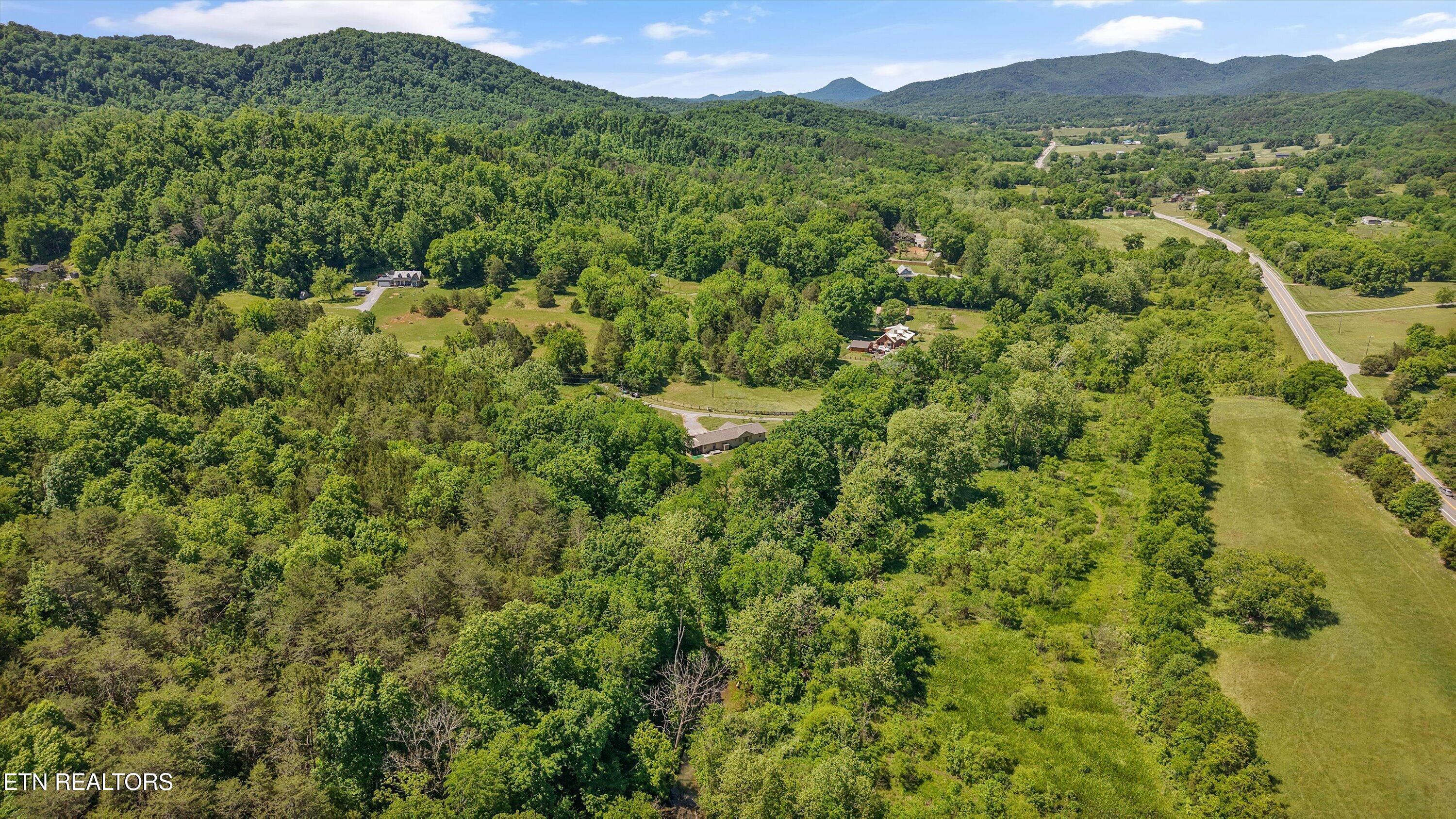 397 Lewis Lane Blaine TN 37709