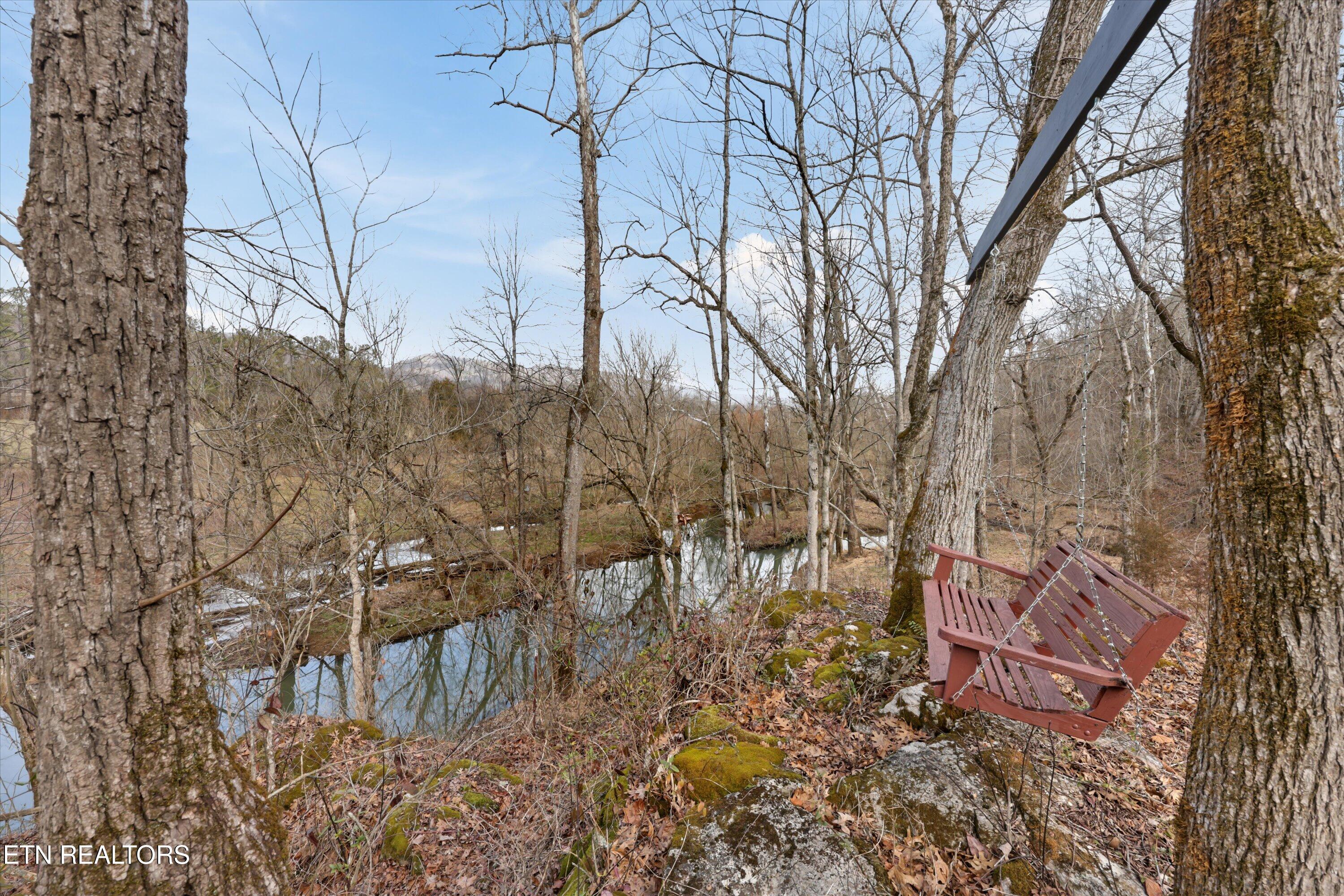 397 Lewis Lane Blaine TN 37709