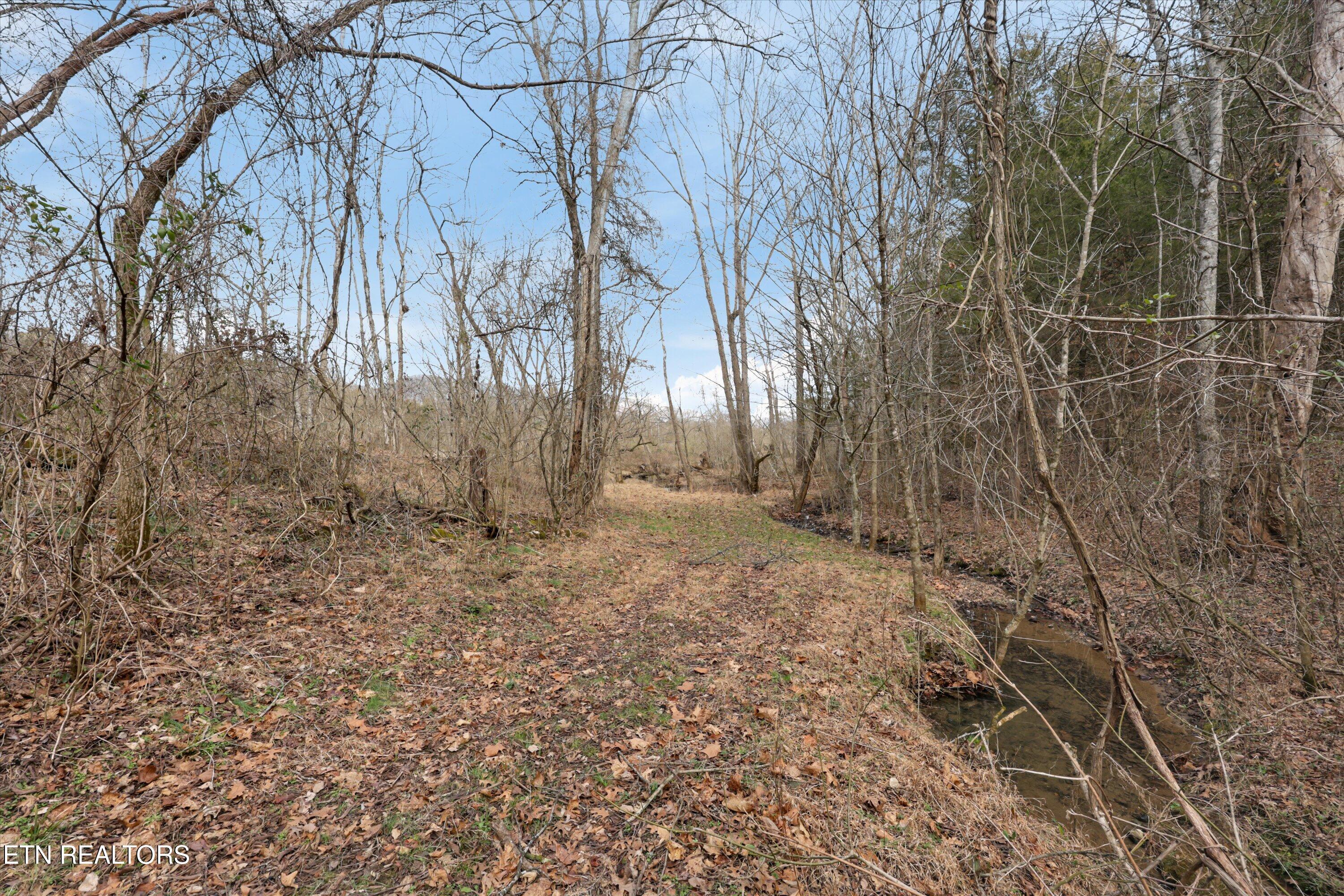 397 Lewis Lane Blaine TN 37709