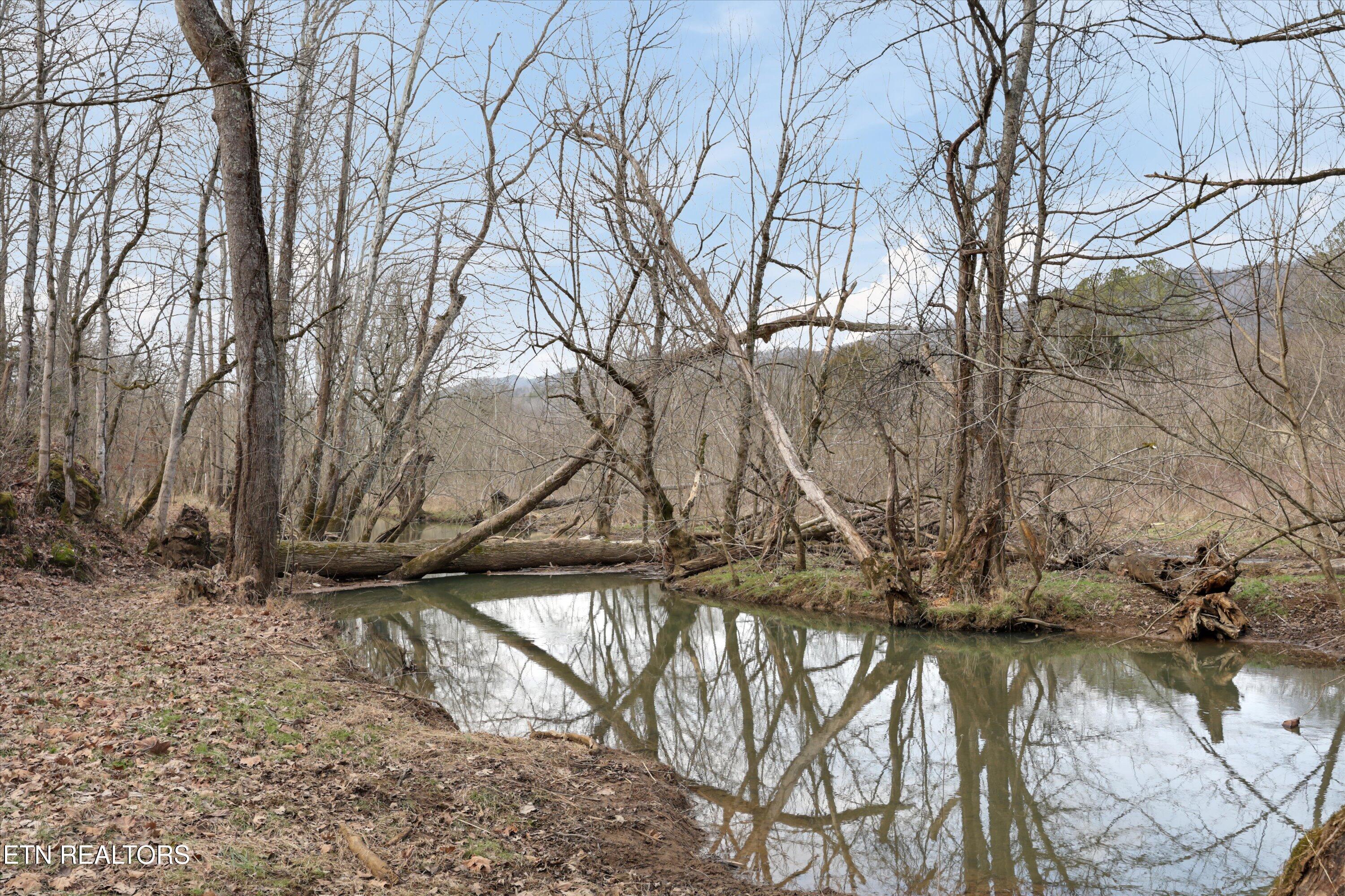 397 Lewis Lane Blaine TN 37709
