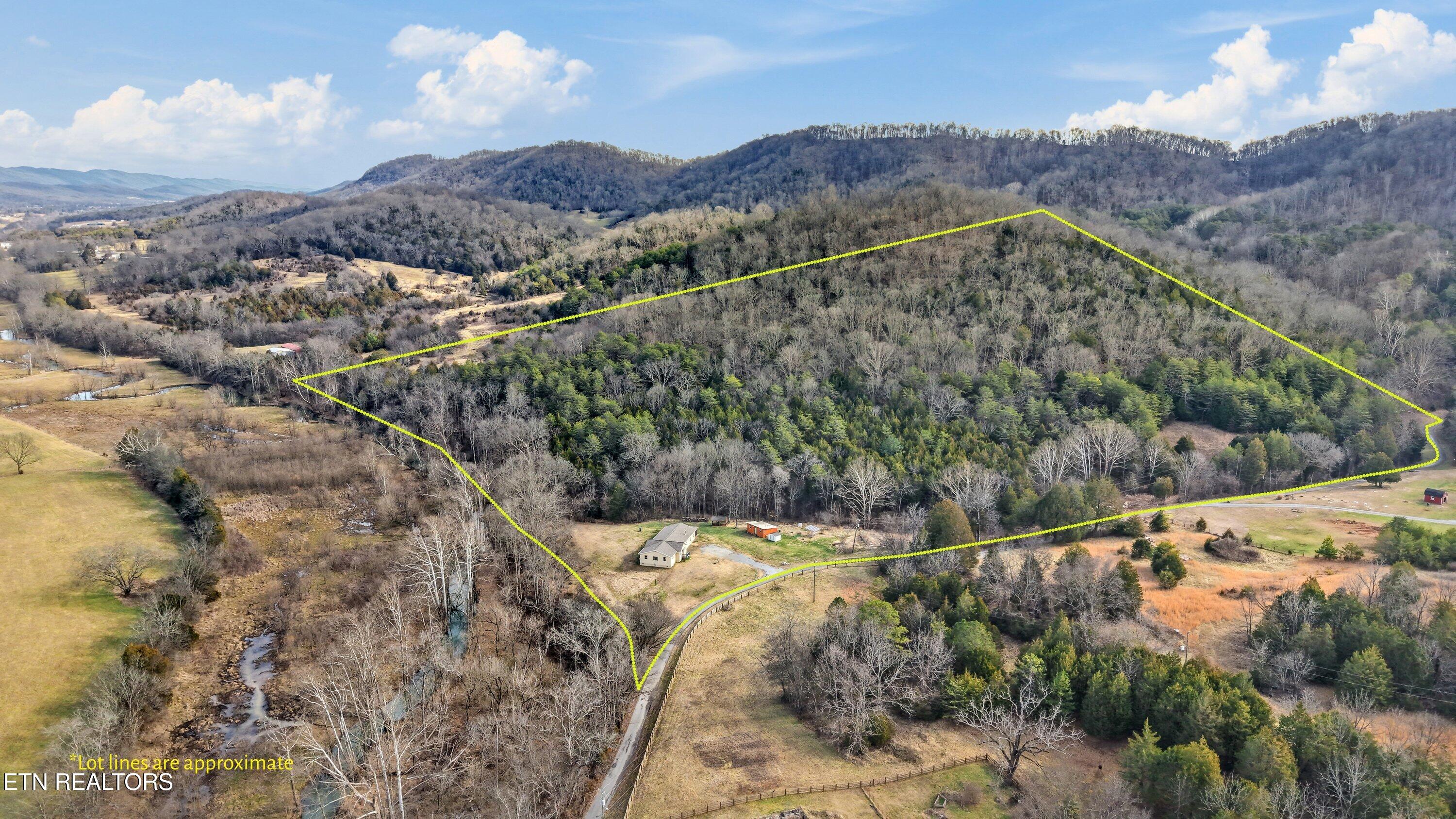 397 Lewis Lane Blaine TN 37709