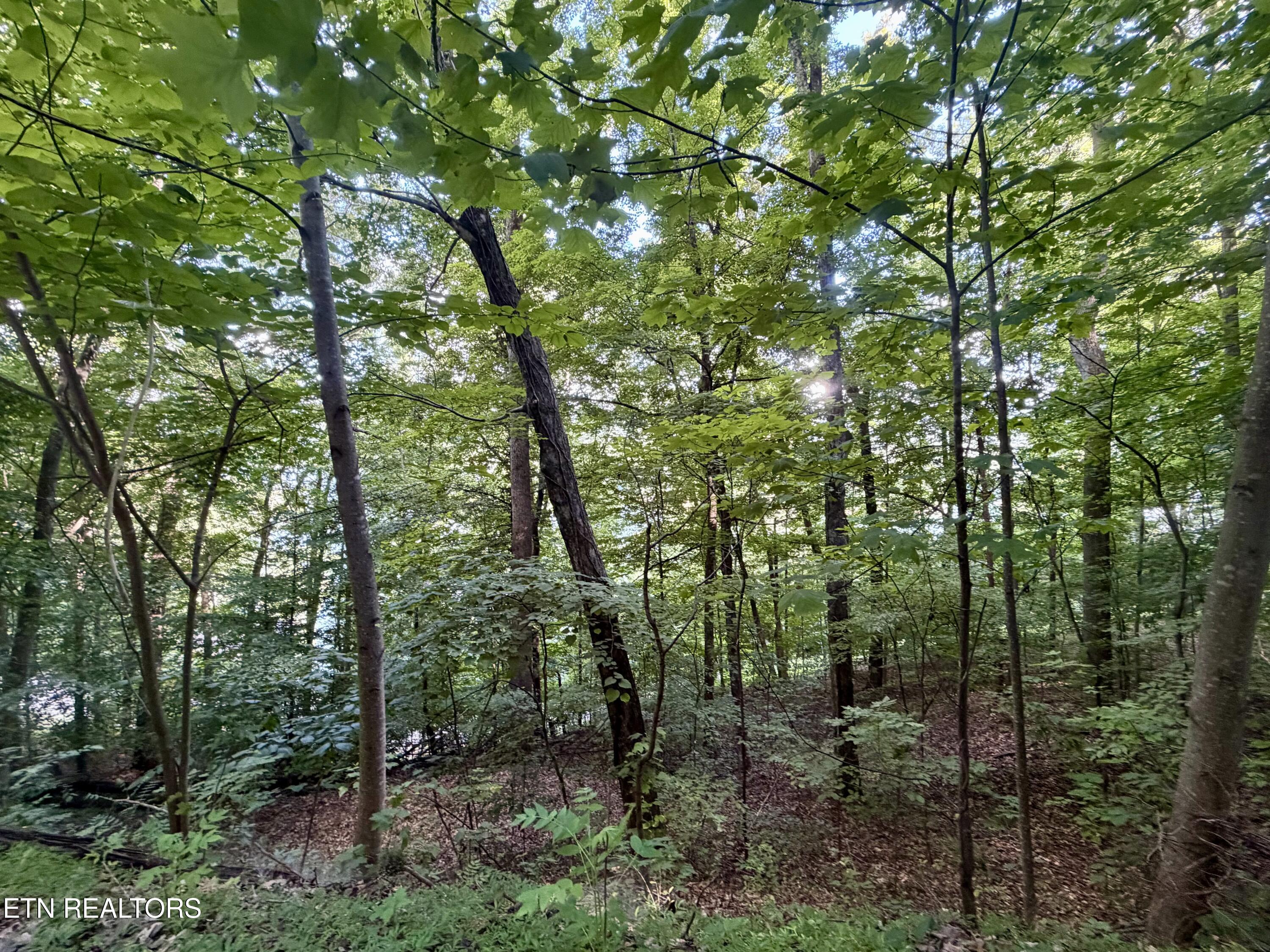 376 Norris View Drive New Tazewell TN 37825