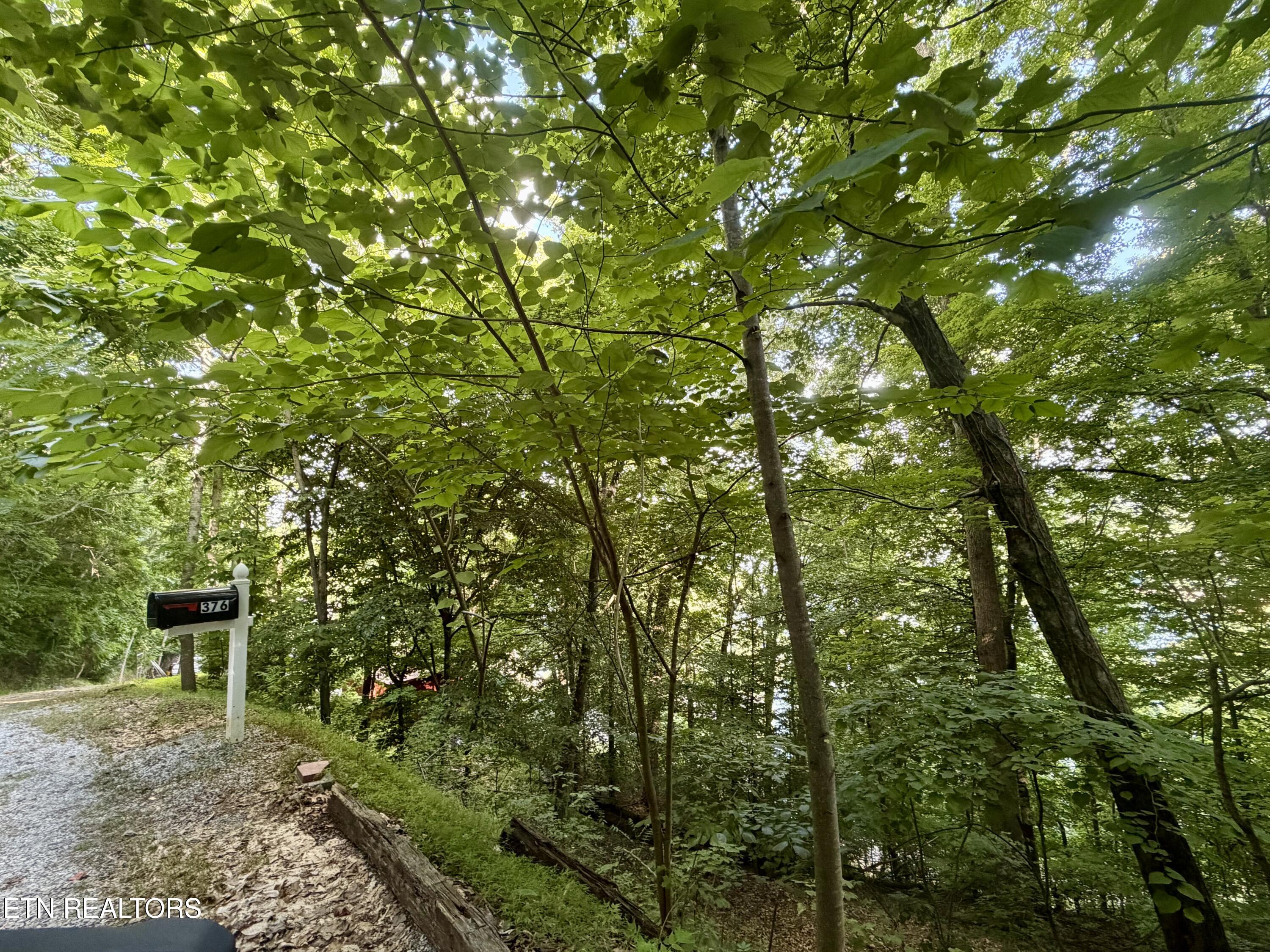 376 Norris View Drive New Tazewell TN 37825