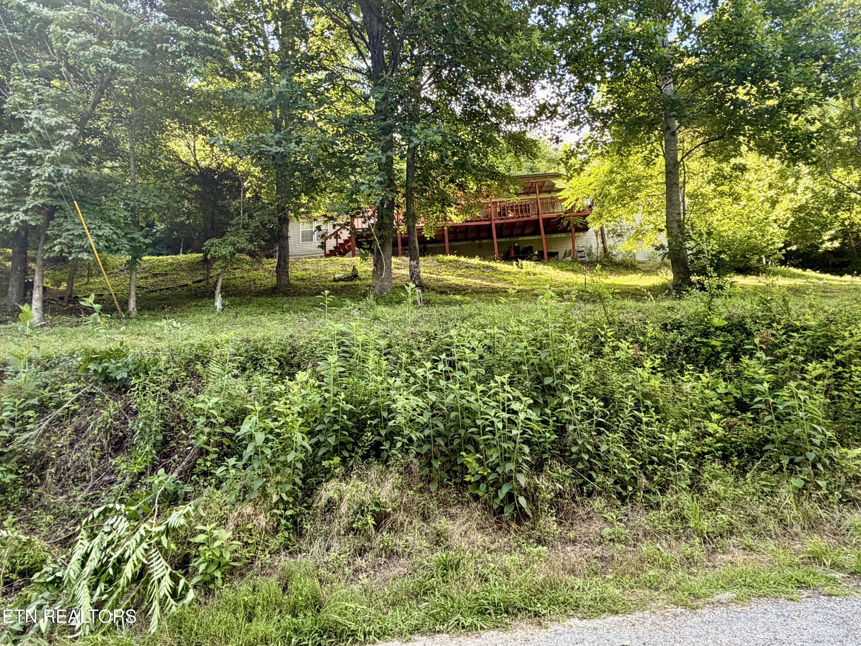 376 Norris View Drive New Tazewell TN 37825