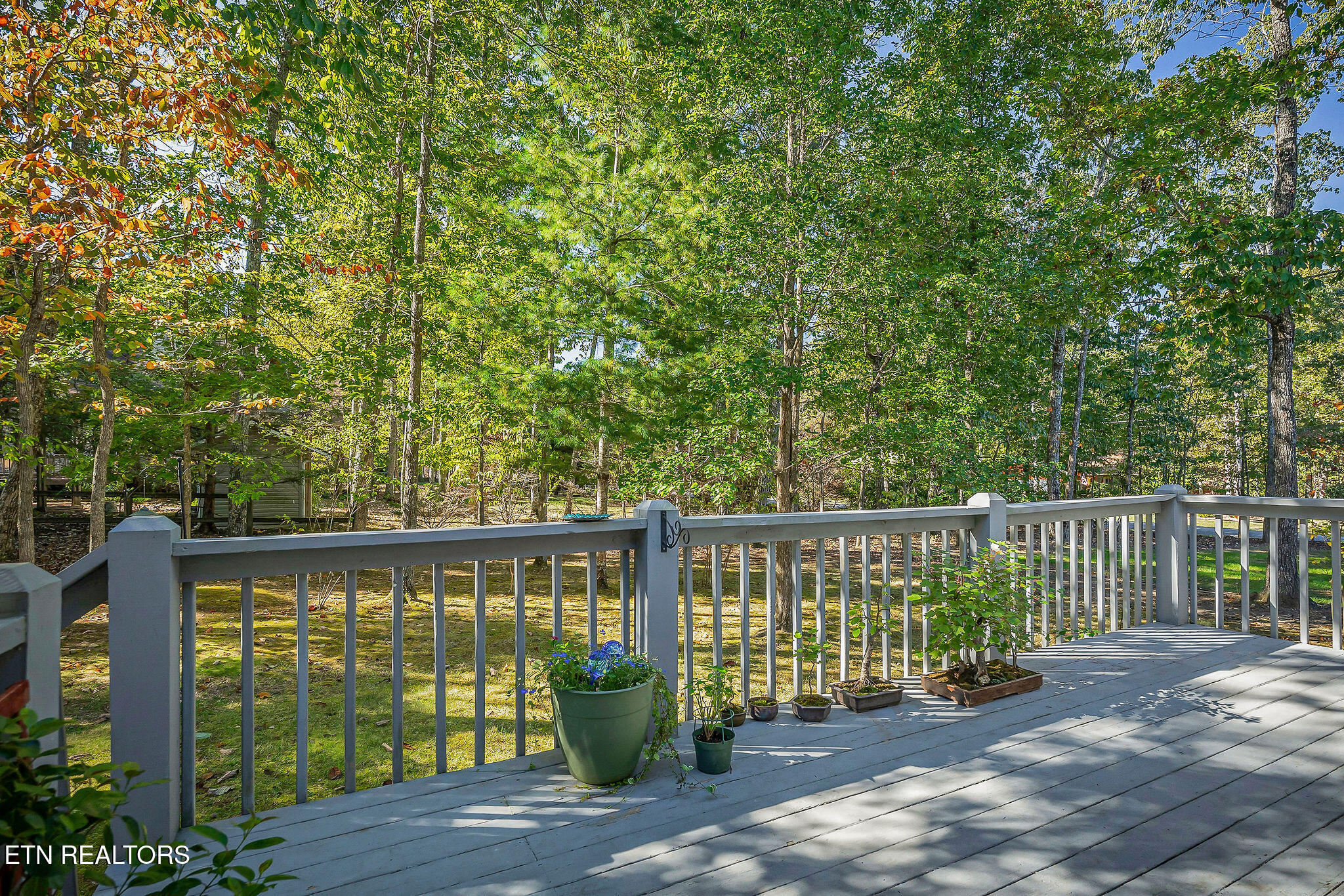 143 Lakeside Drive Fairfield Glade TN 38558