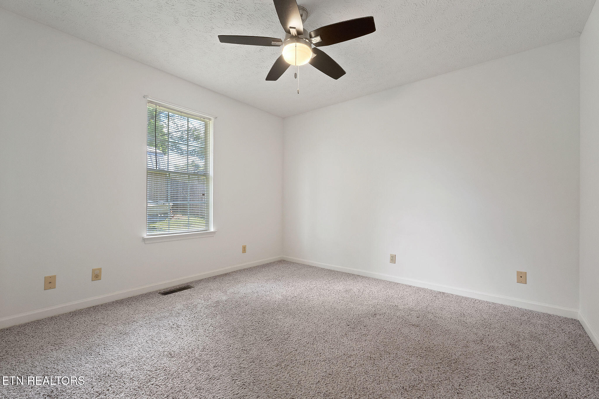 223 Willow Way Mcminnville TN 37110