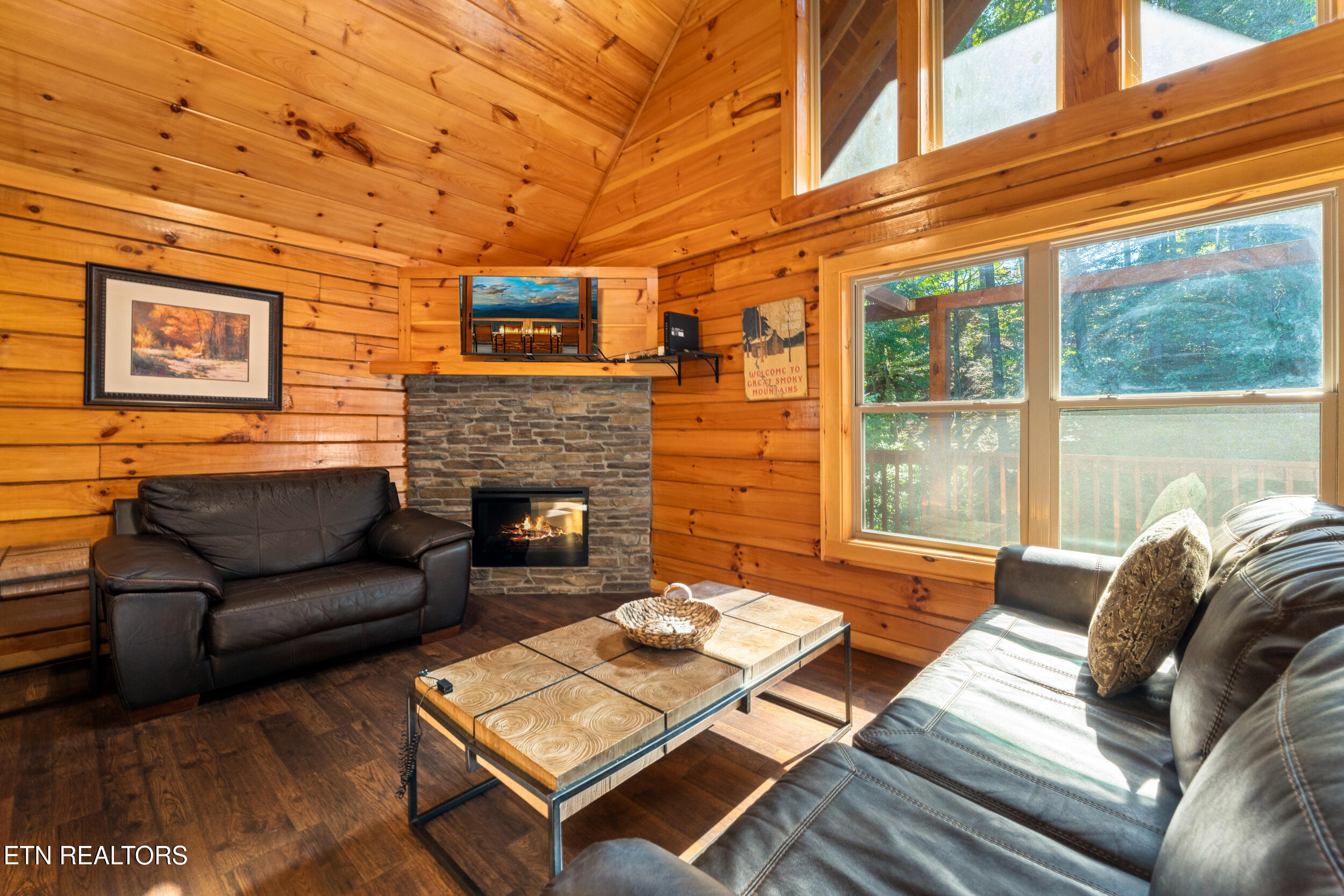 531 Blackberry Ridge Way Pigeon Forge TN 37863