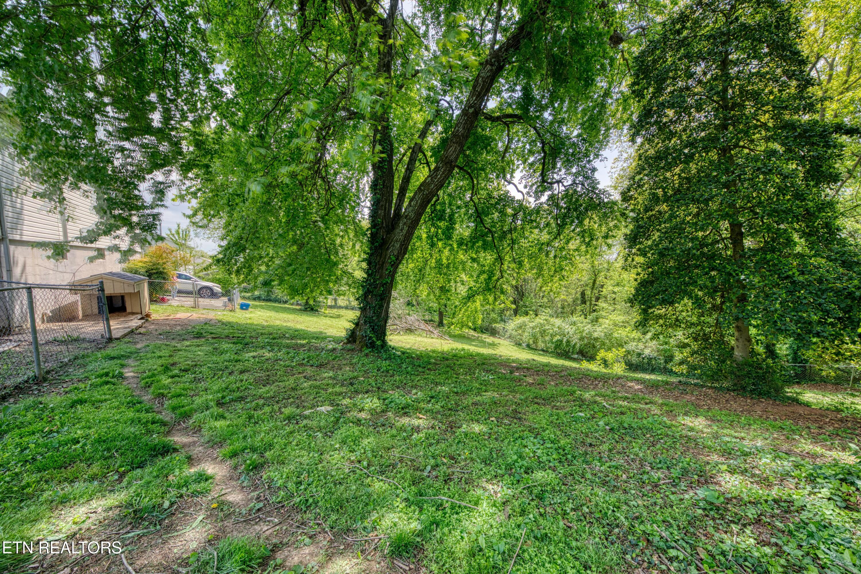 731 Highland Avenue Loudon TN 37774