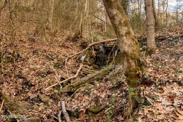 2067 Highpoint Lane Sevierville TN 37876