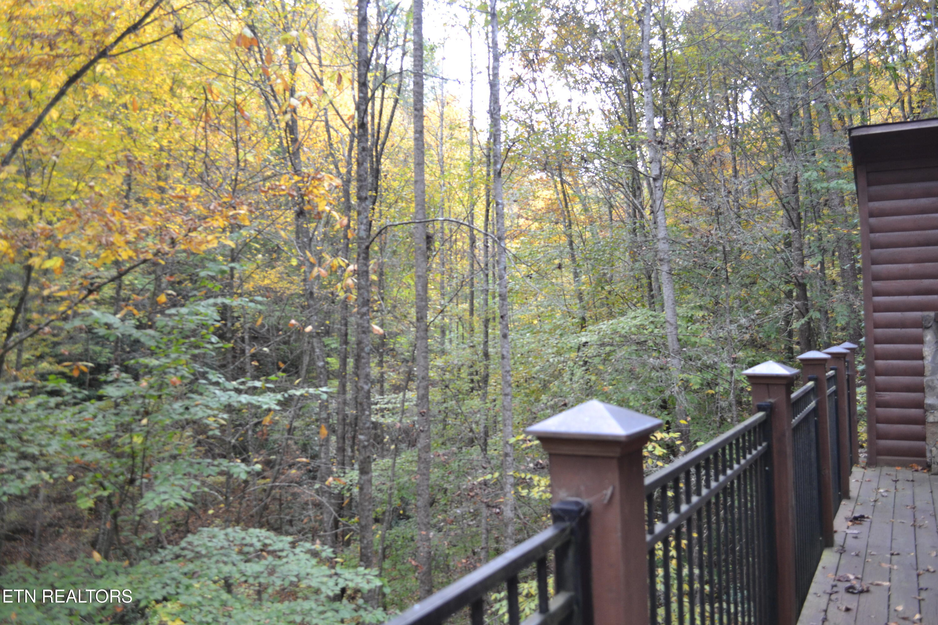 229 Edens Way Sevierville TN 37876