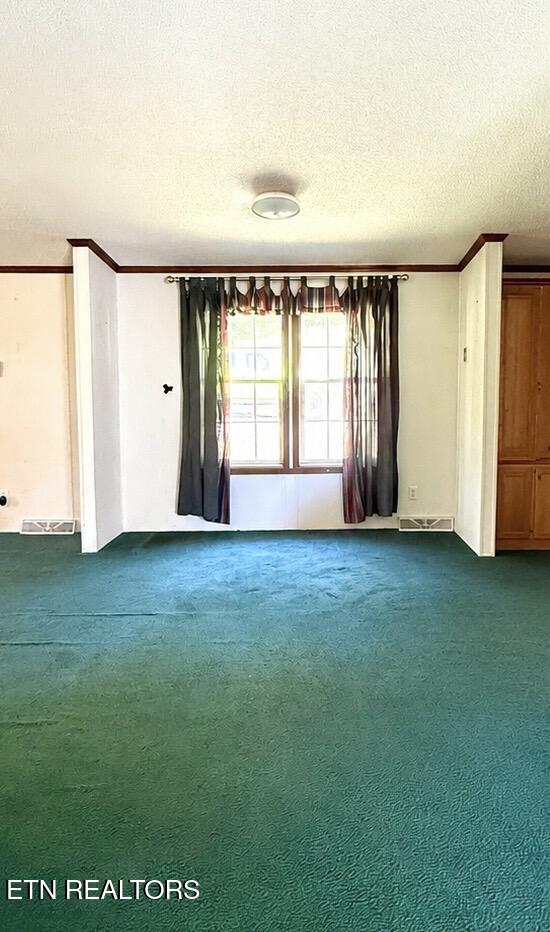 315 Circle Drive Maynardville TN 37807